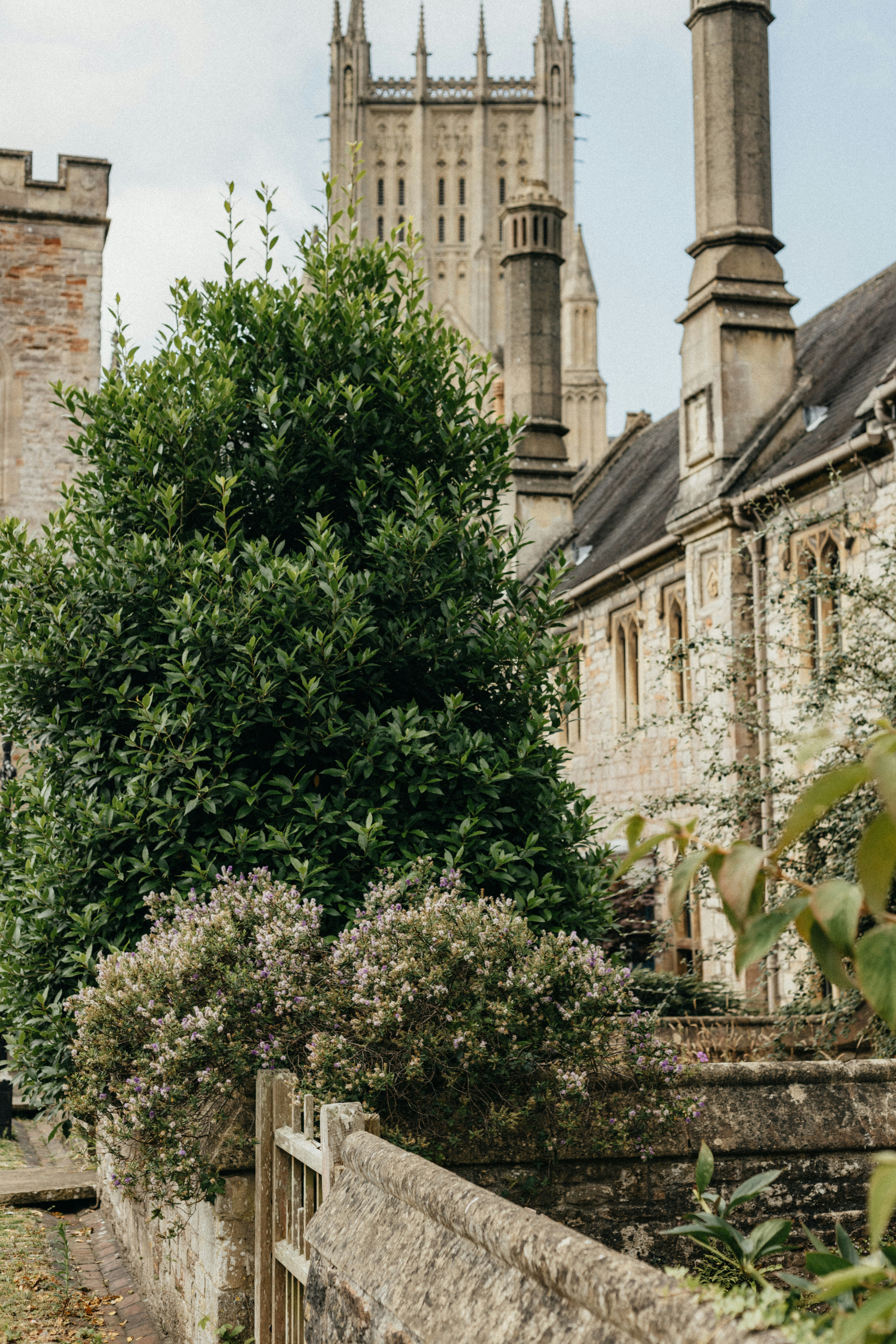 Photo by anniespratt