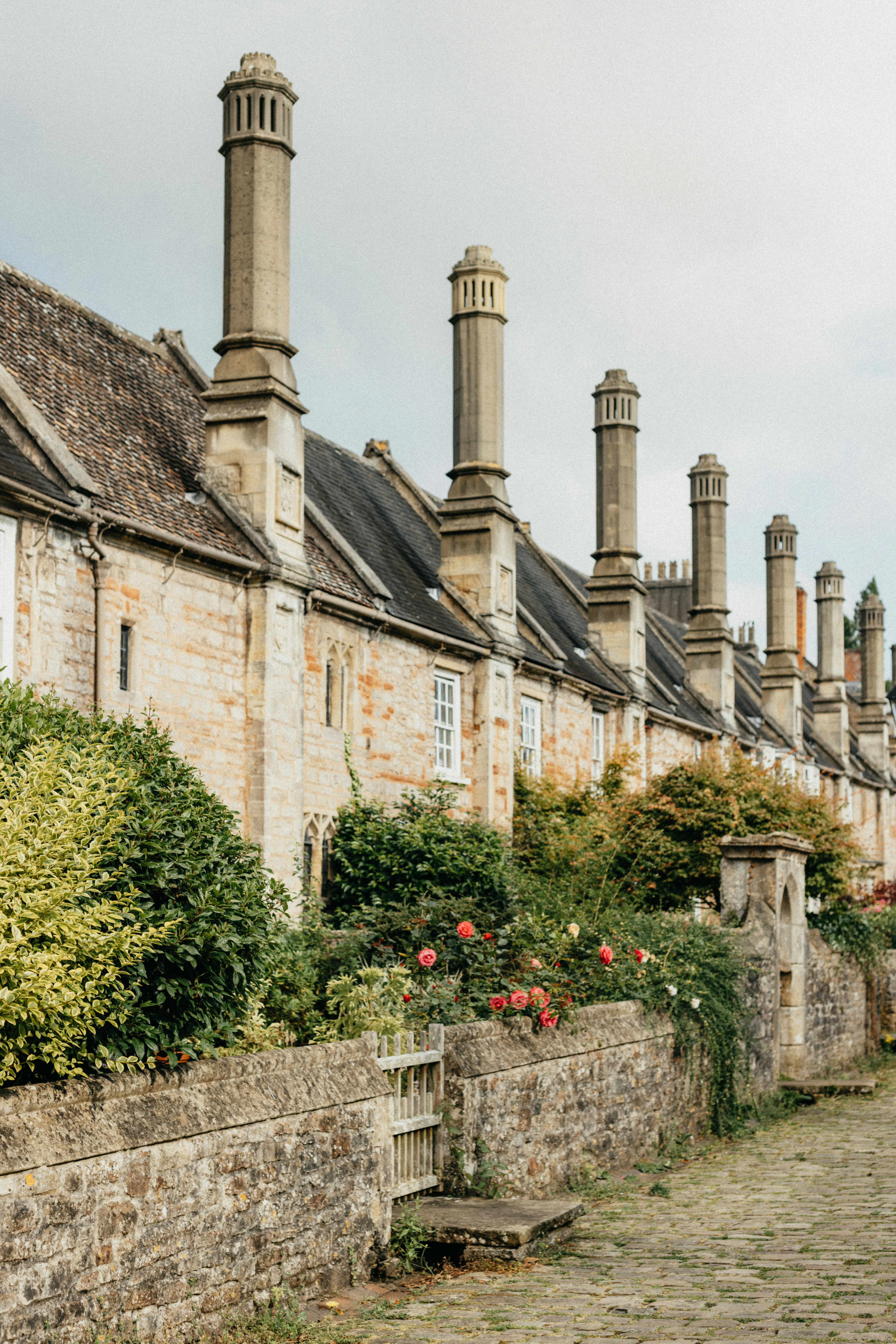 Photo by anniespratt