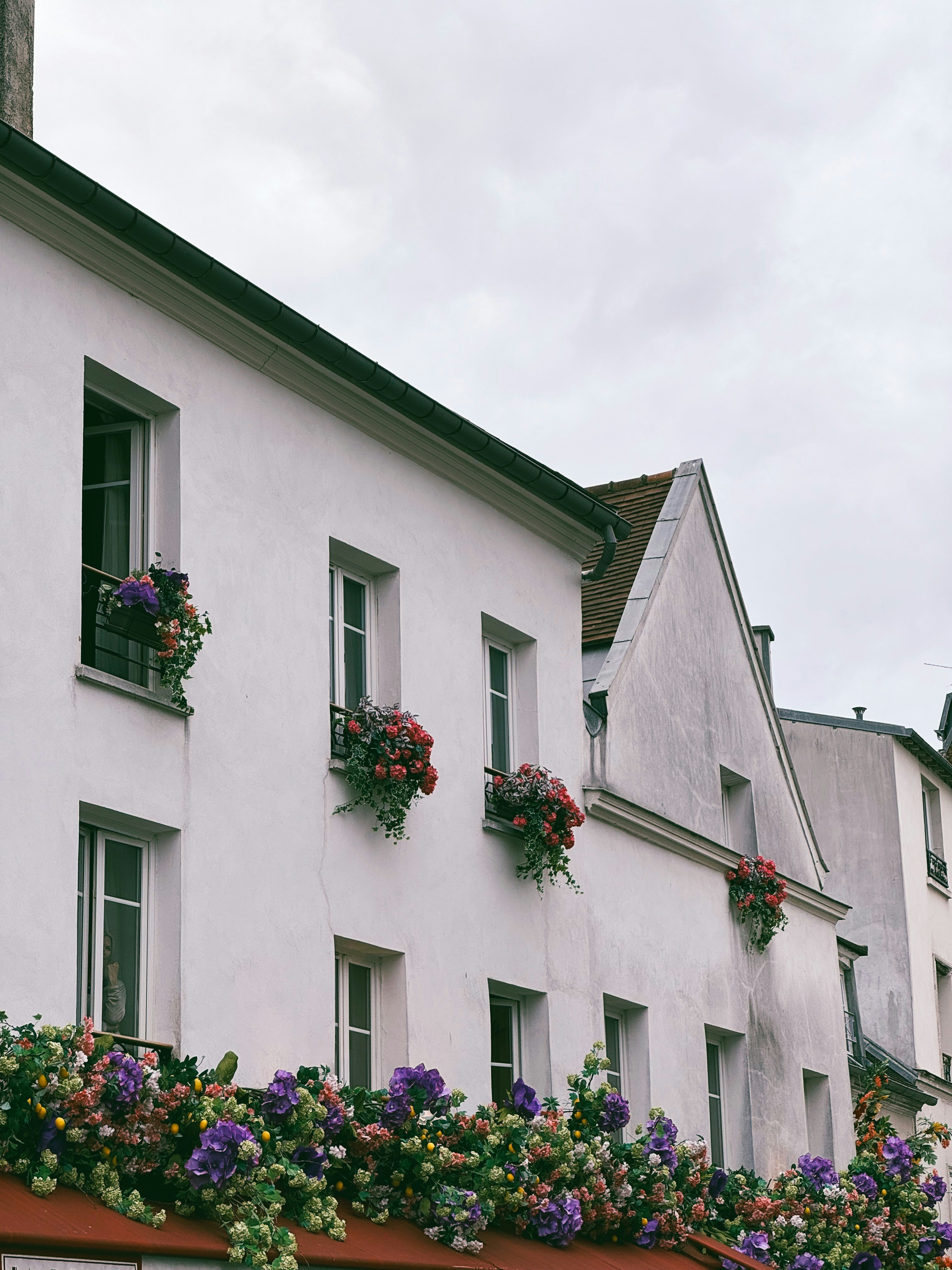 Photo by meganmajocha