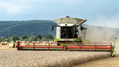 A combine of grain being harvested in a field