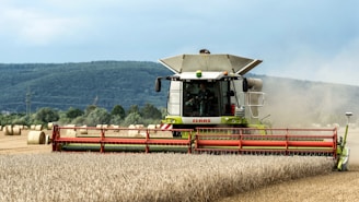A combine of grain being harvested in a field