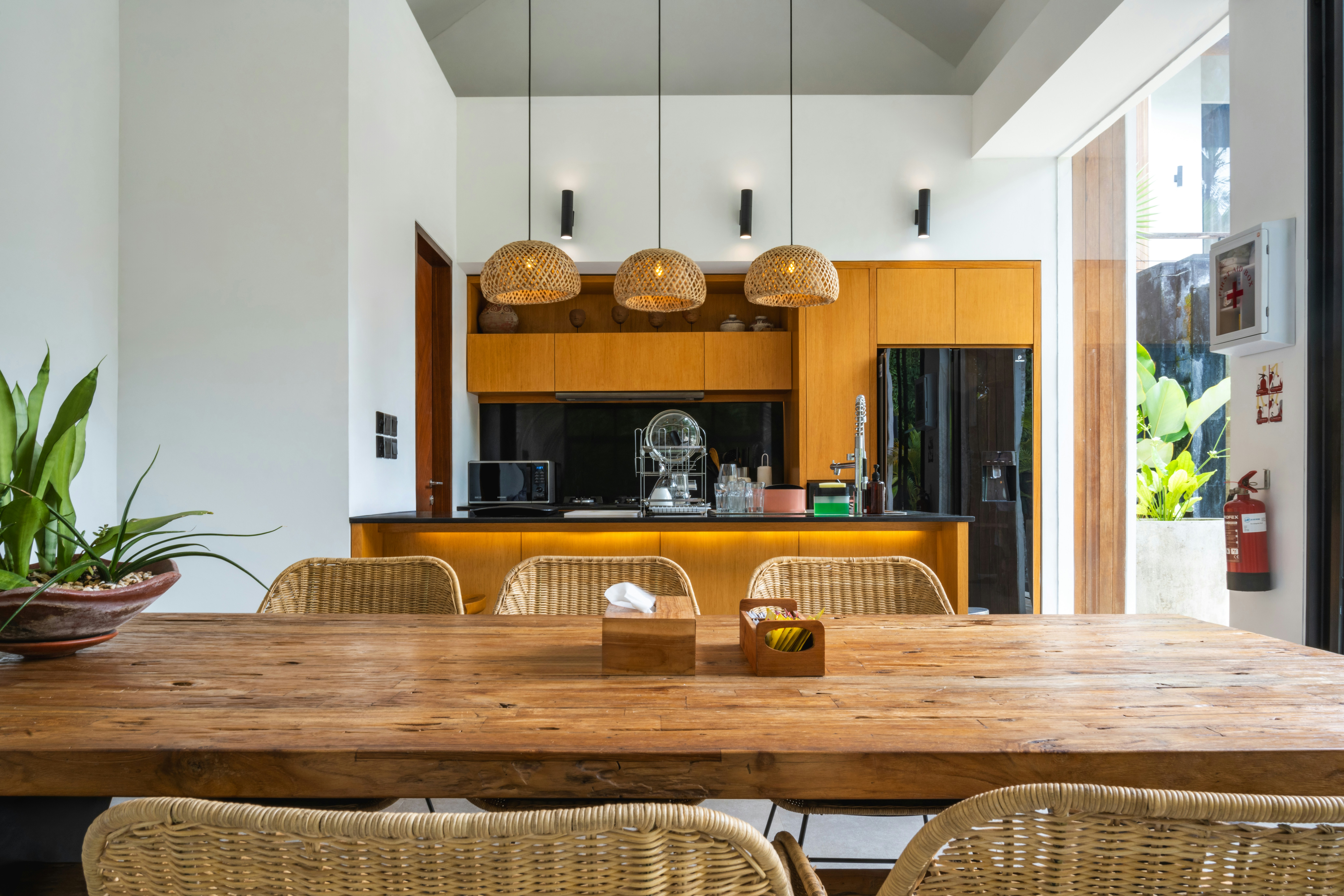 A dining room table with chairs and a potted plant