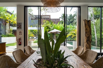 A dining room table with chairs and a potted plant
