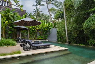 A pool with lounge chairs and umbrellas next to it