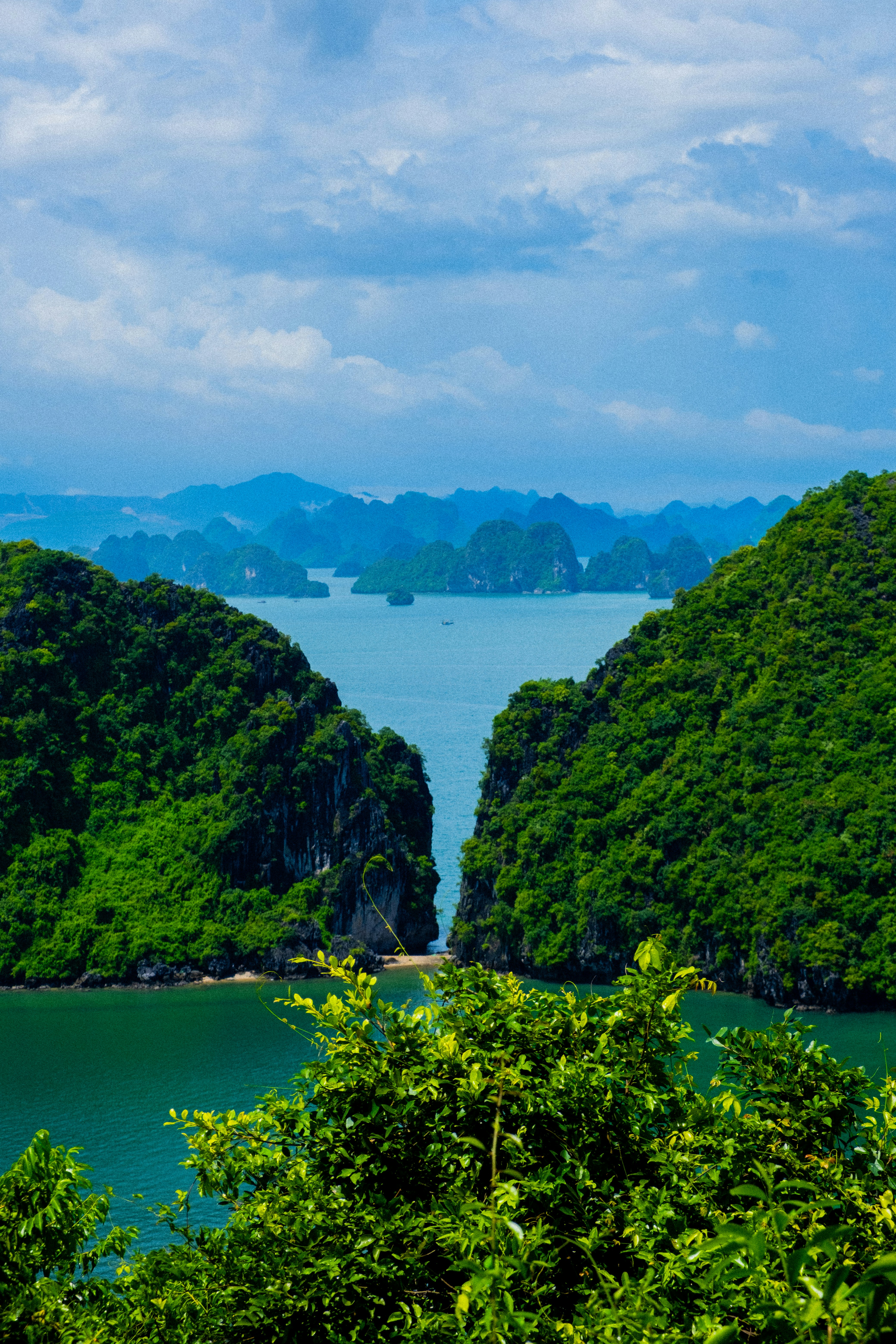 Photo by shubhamsingla365