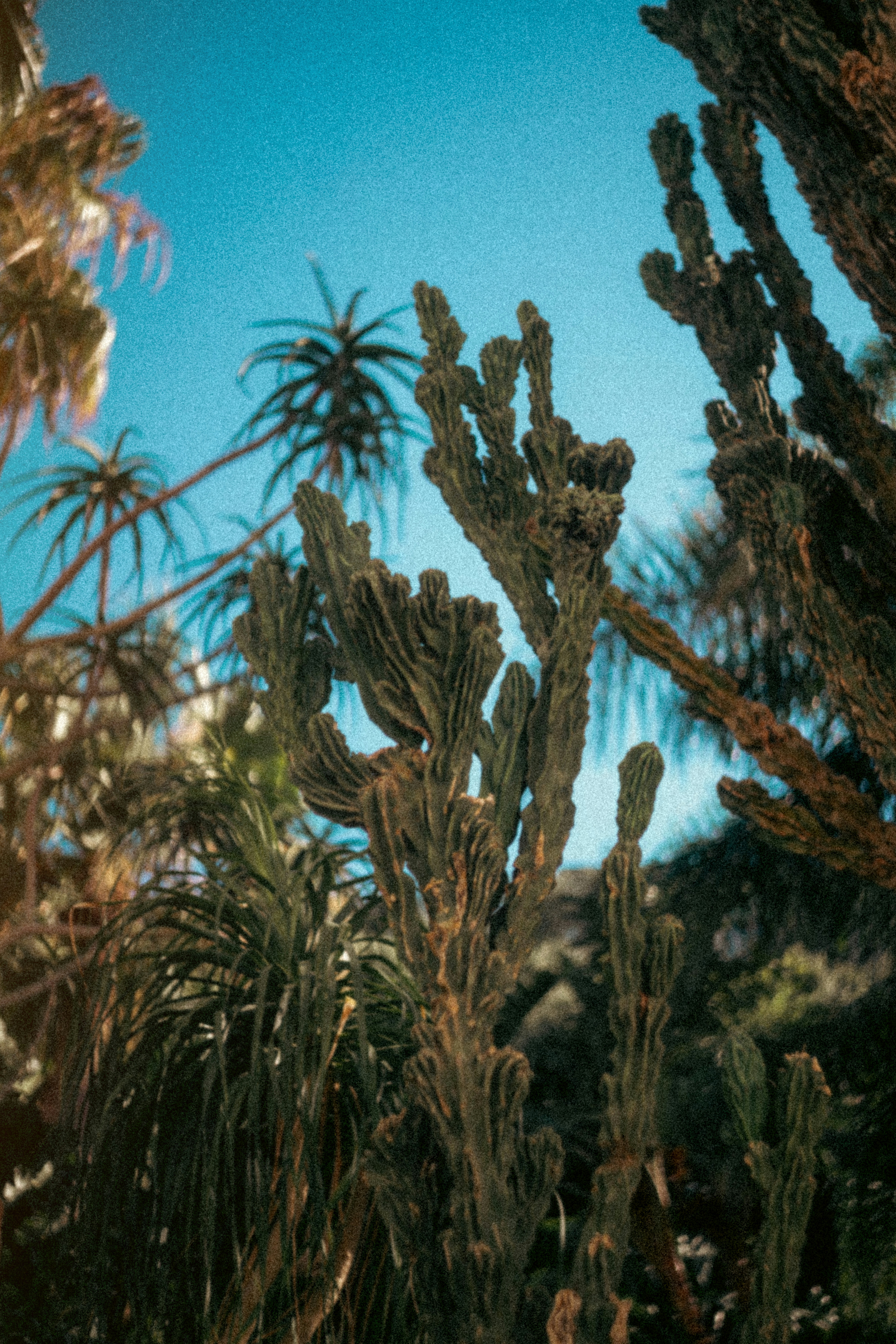 Photo by brunovdkraan