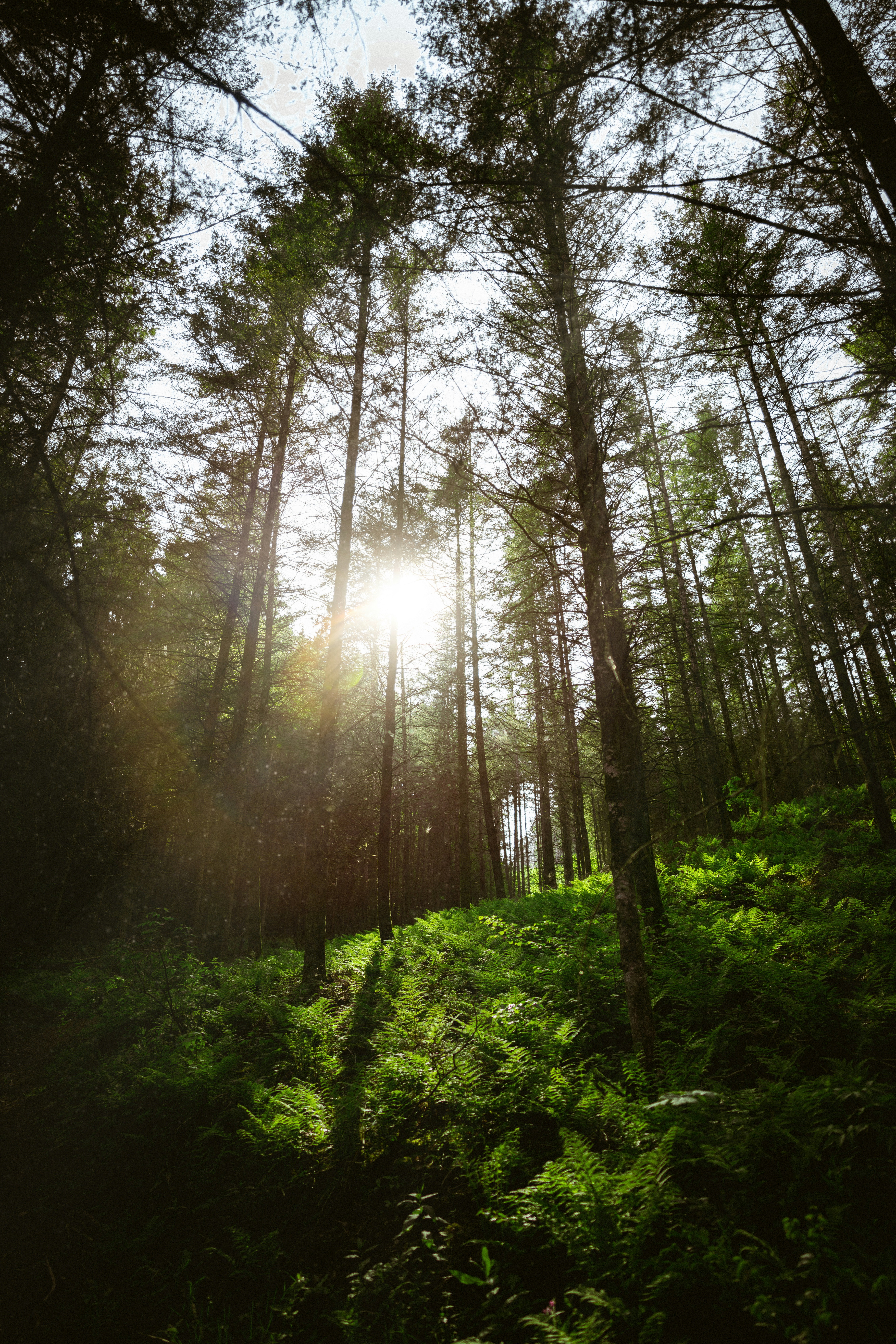 Photo by brunovdkraan