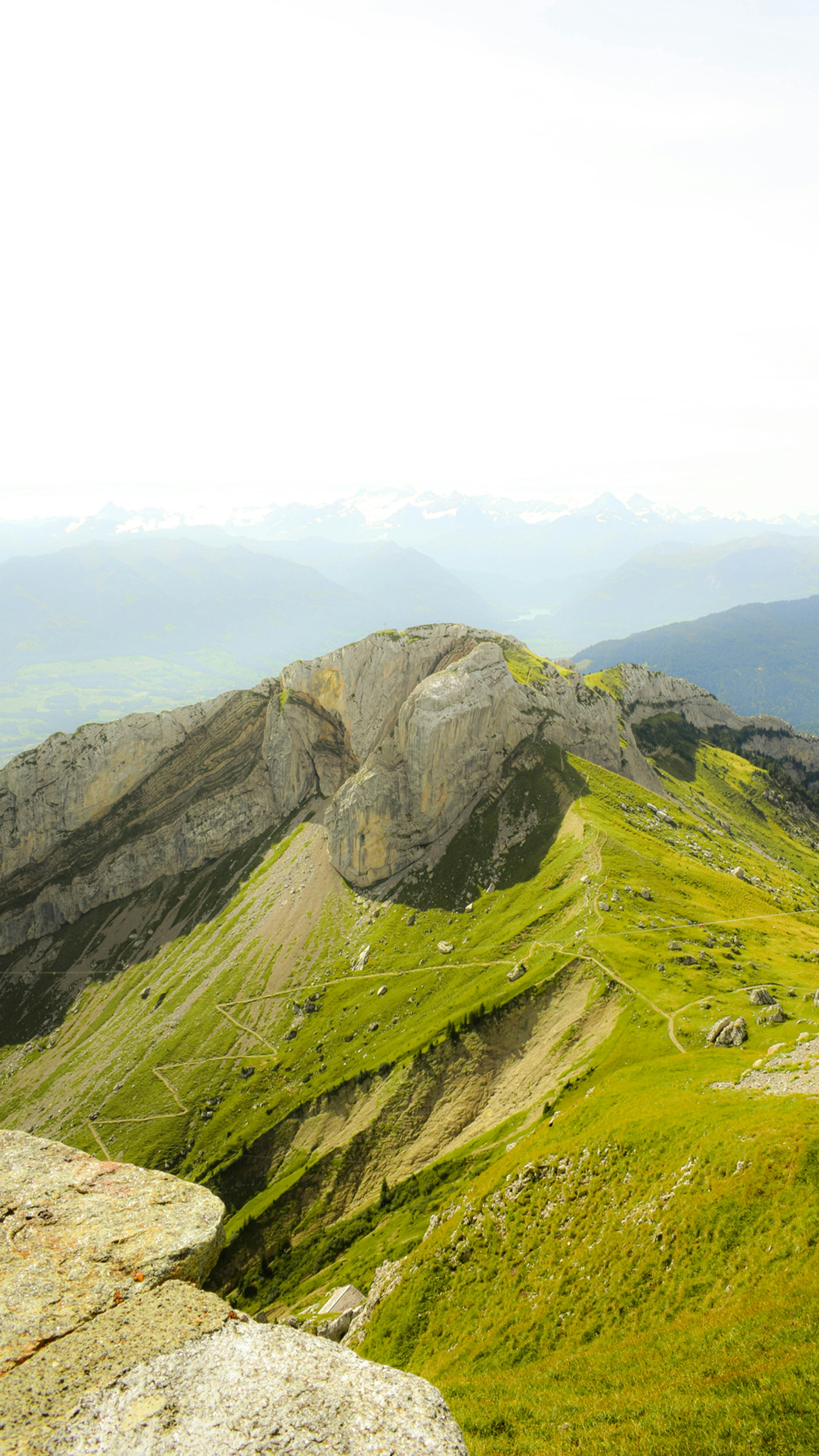 Photo by nandaphotos