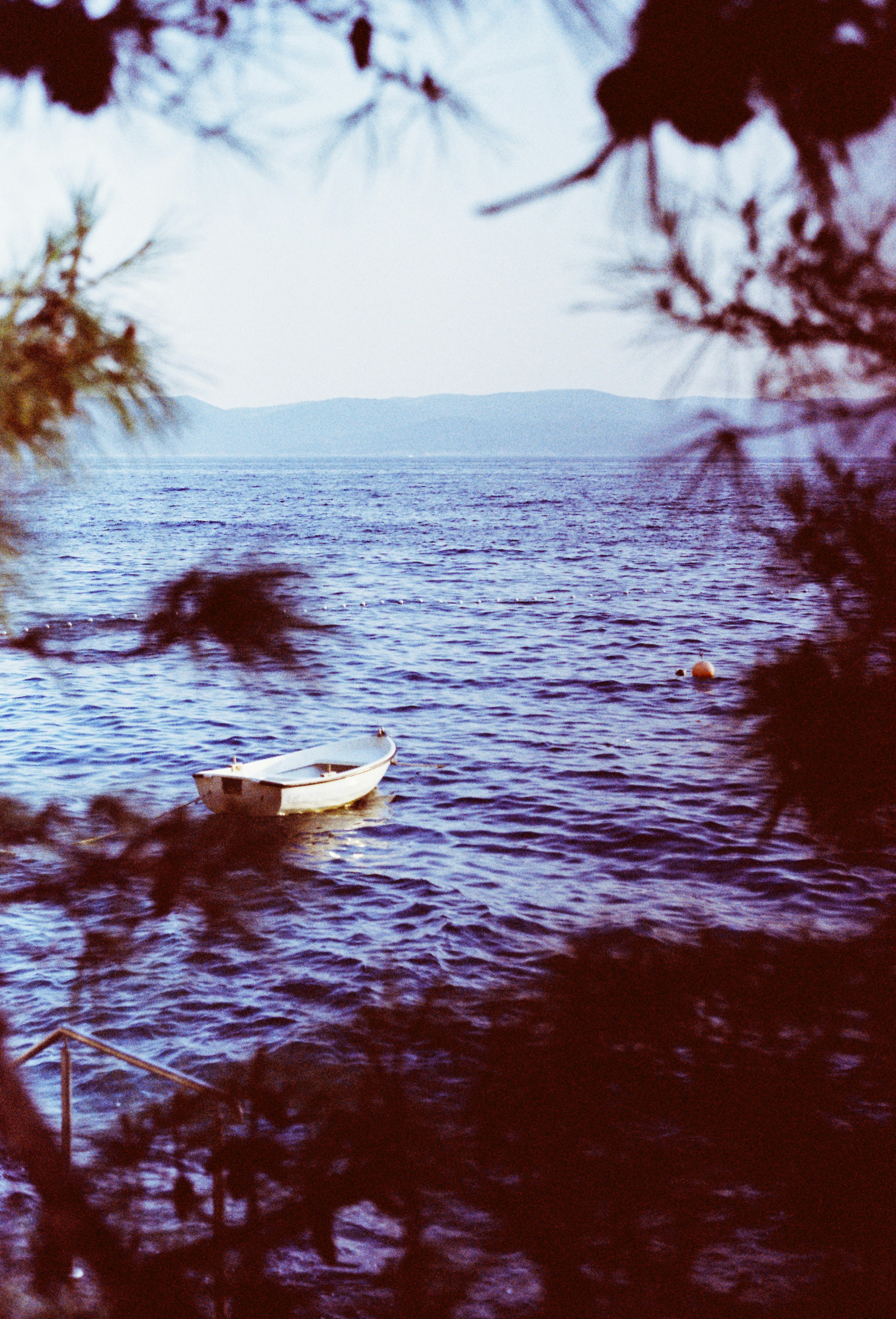 Photo by krowdeed