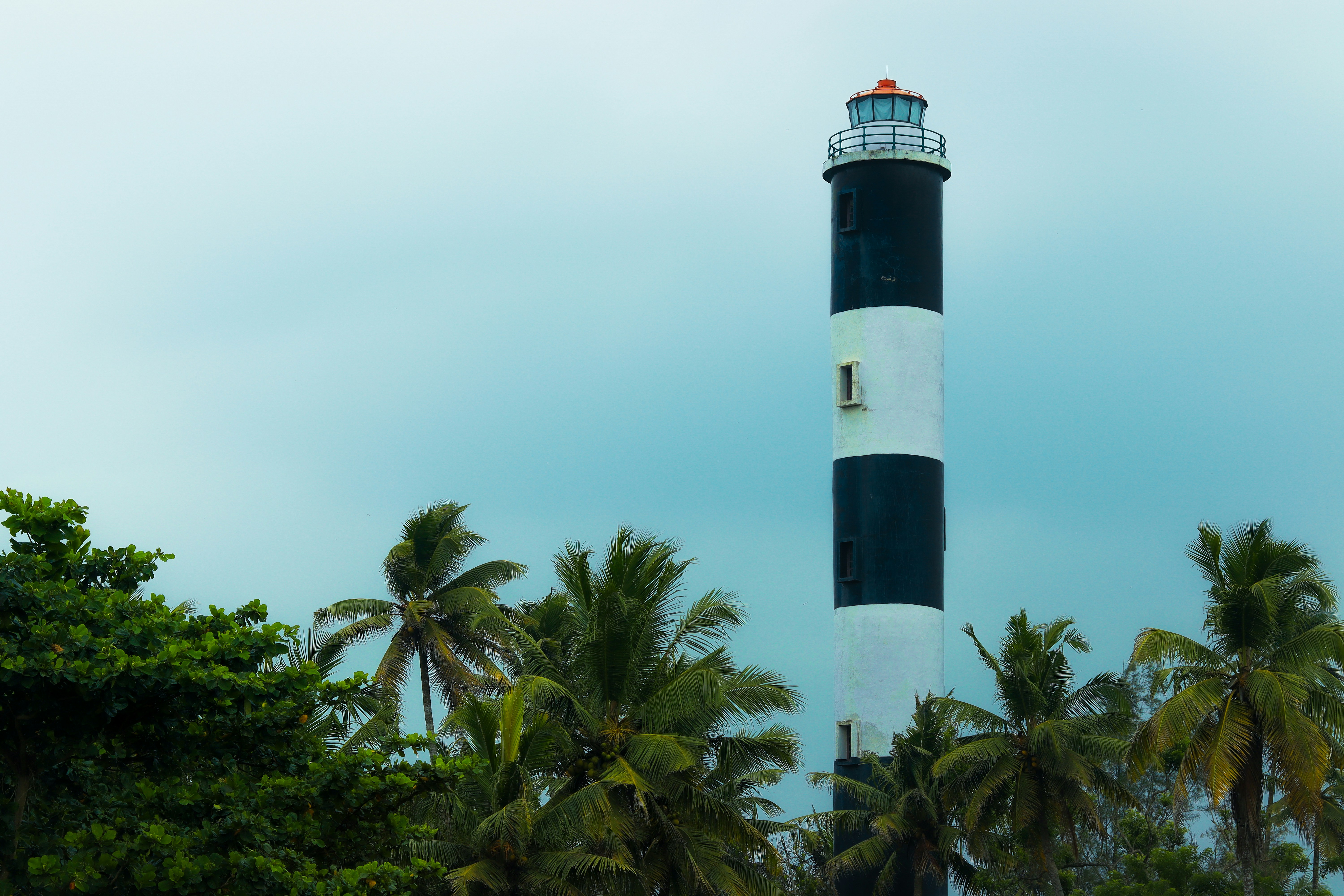 Photo by the_50mm_snaps