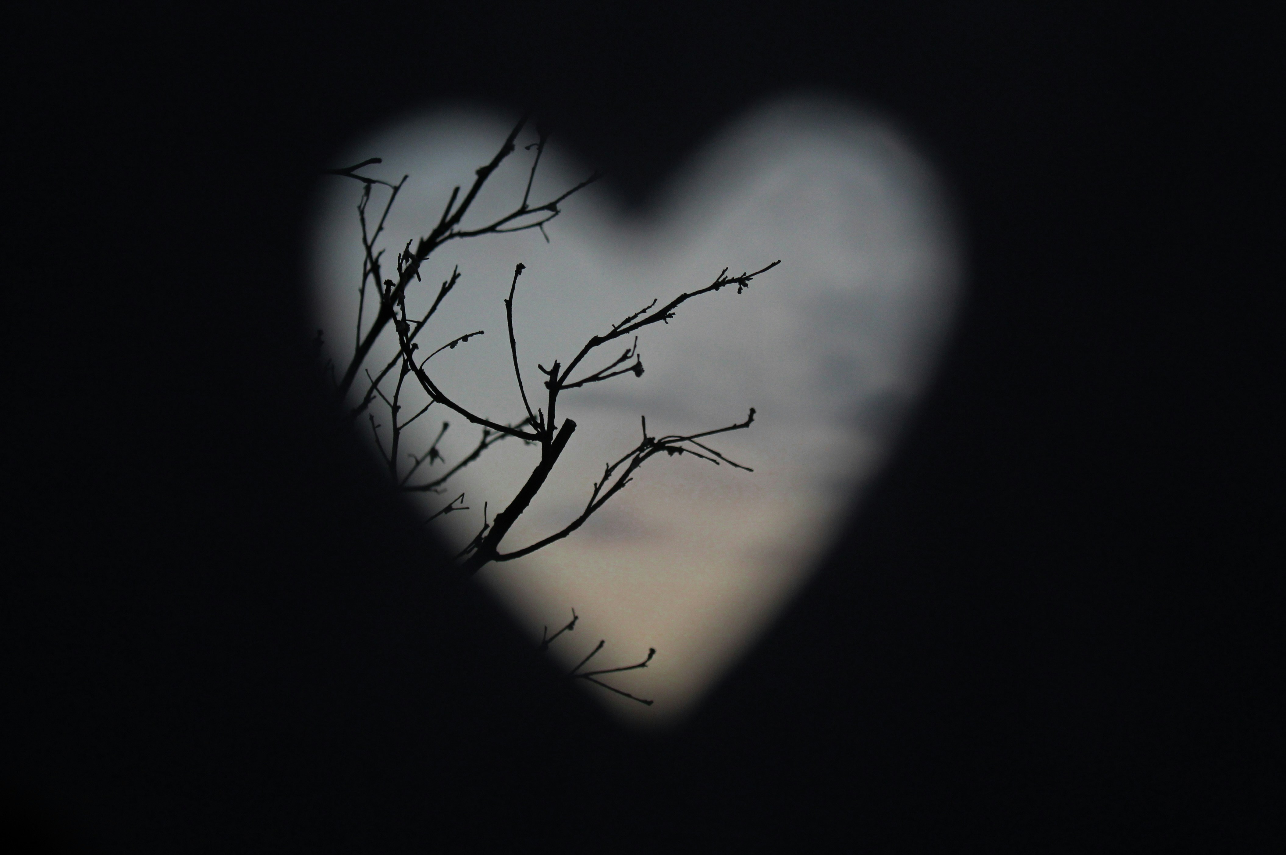 Dark Heart Pictures | Download Free Images on Unsplash, image size:3000x1993