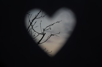 A heart shaped tree branch in the dark