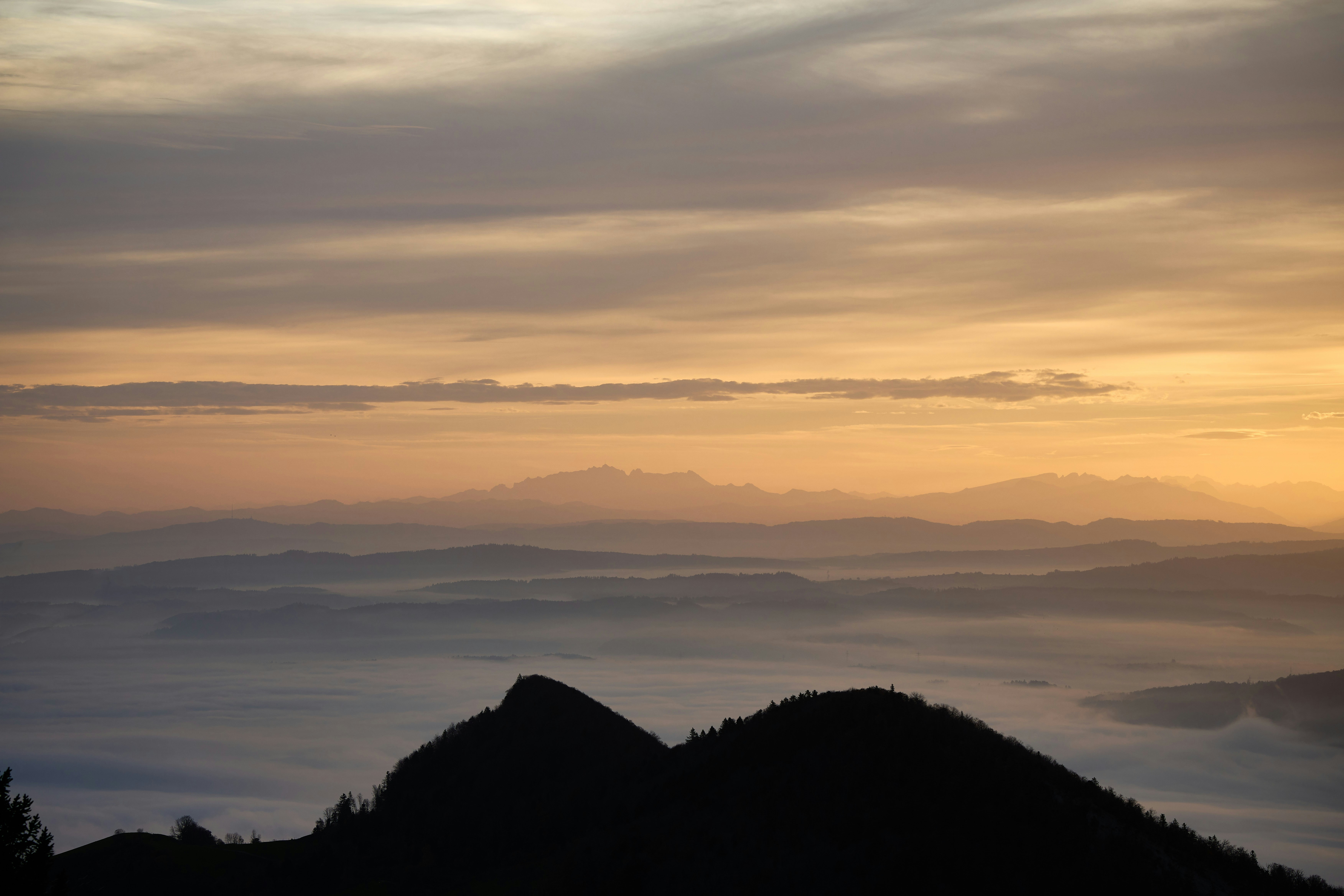 Photo by wolfgang_hasselmann