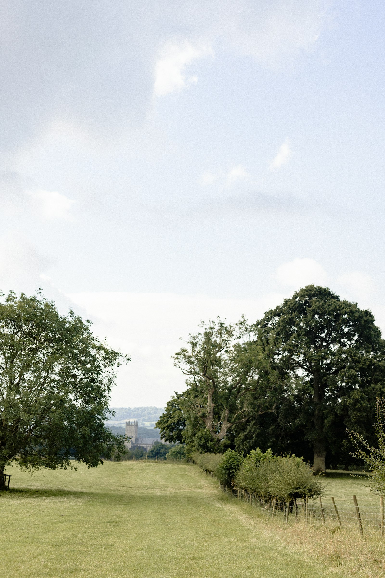A Somerset field with trees and a fence.