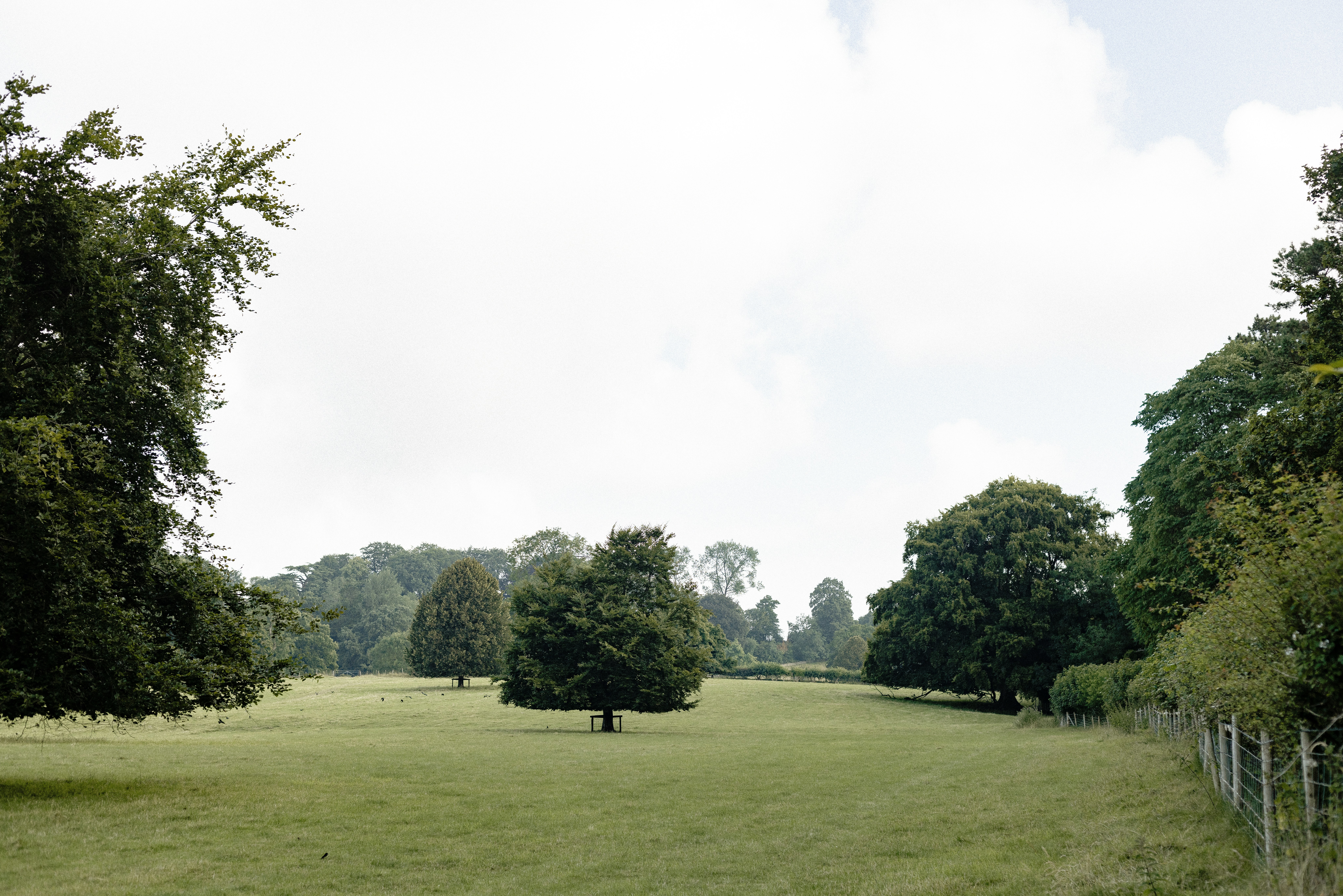 Photo by anniespratt