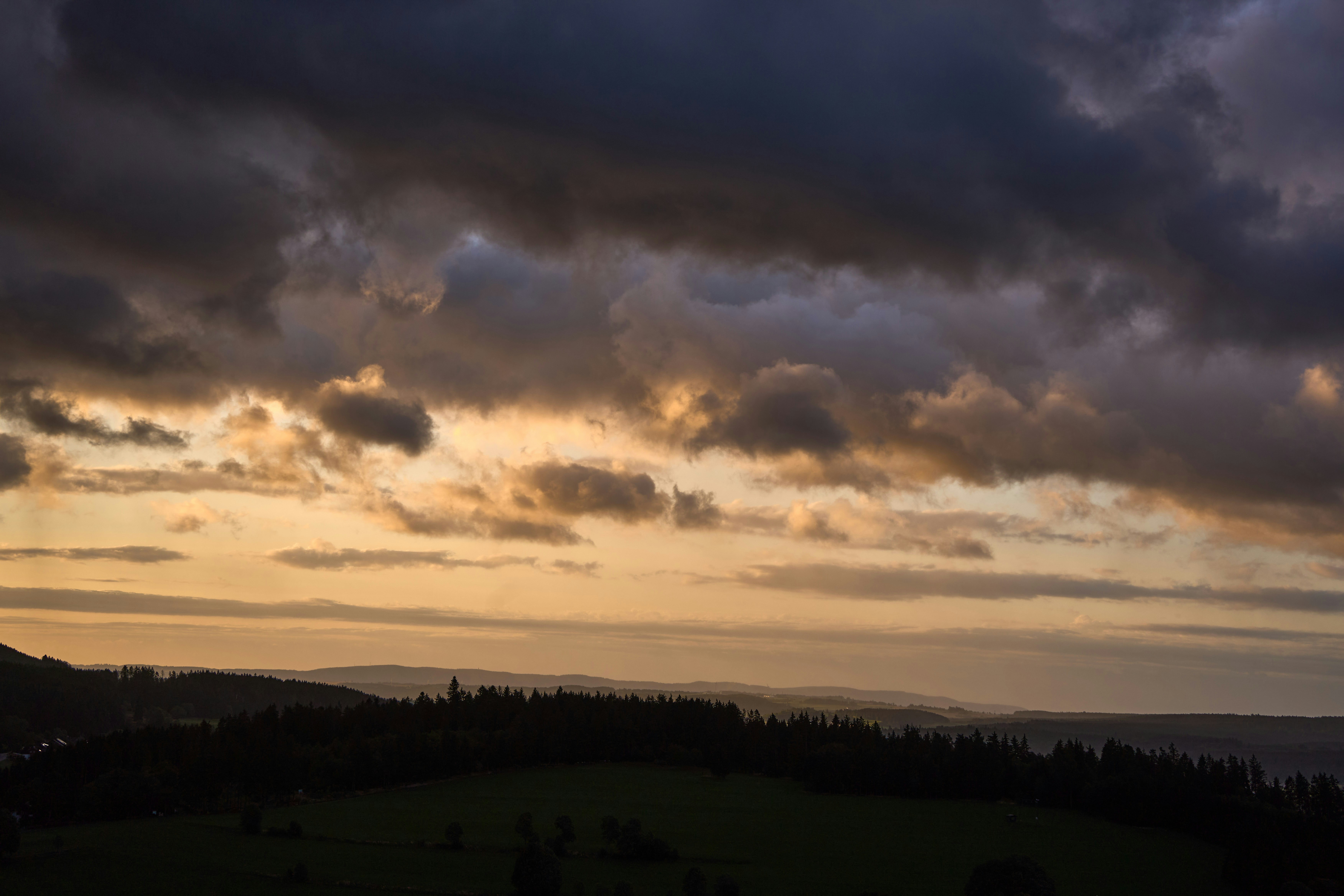 Photo by wolfgang_hasselmann