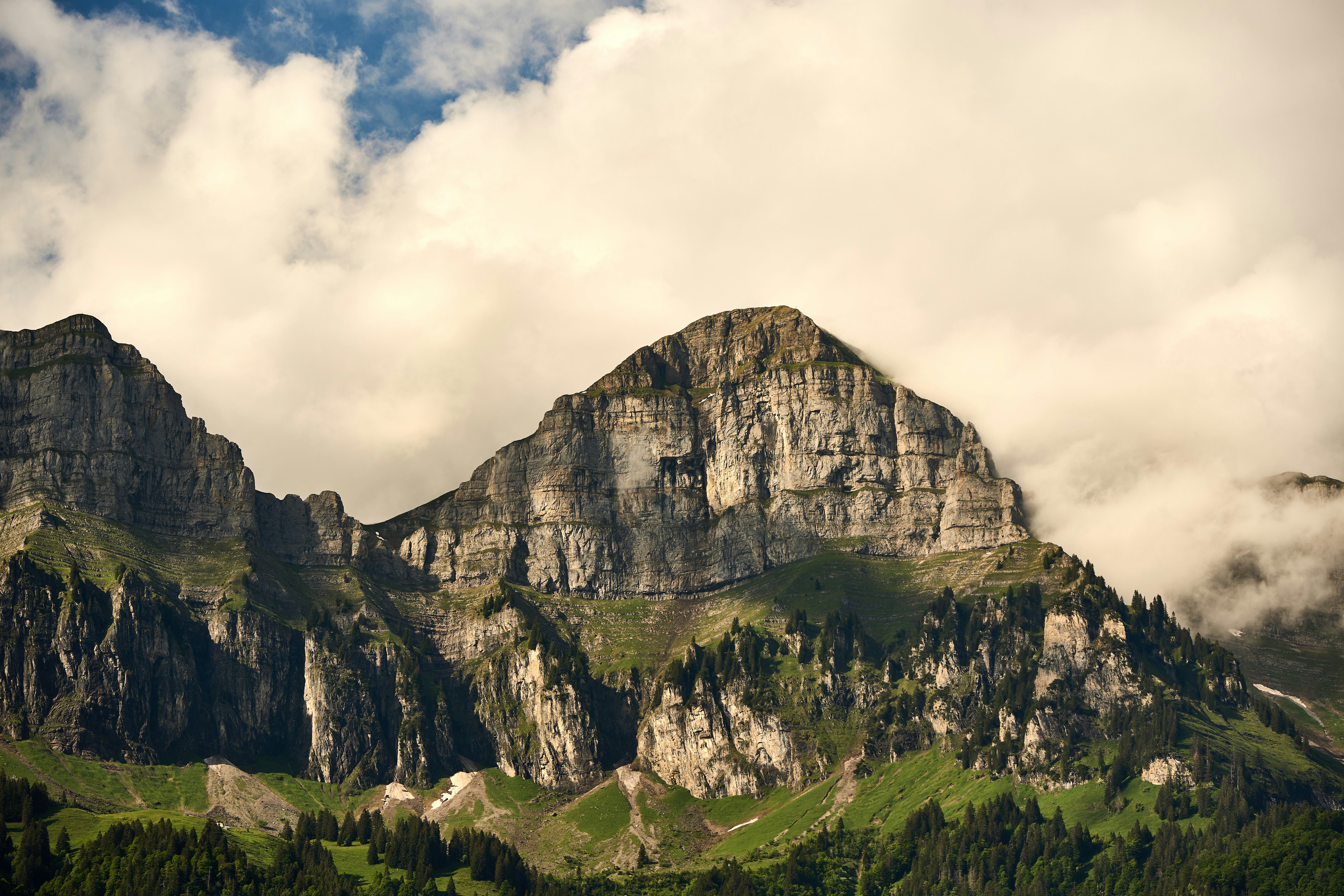 Photo by wolfgang_hasselmann