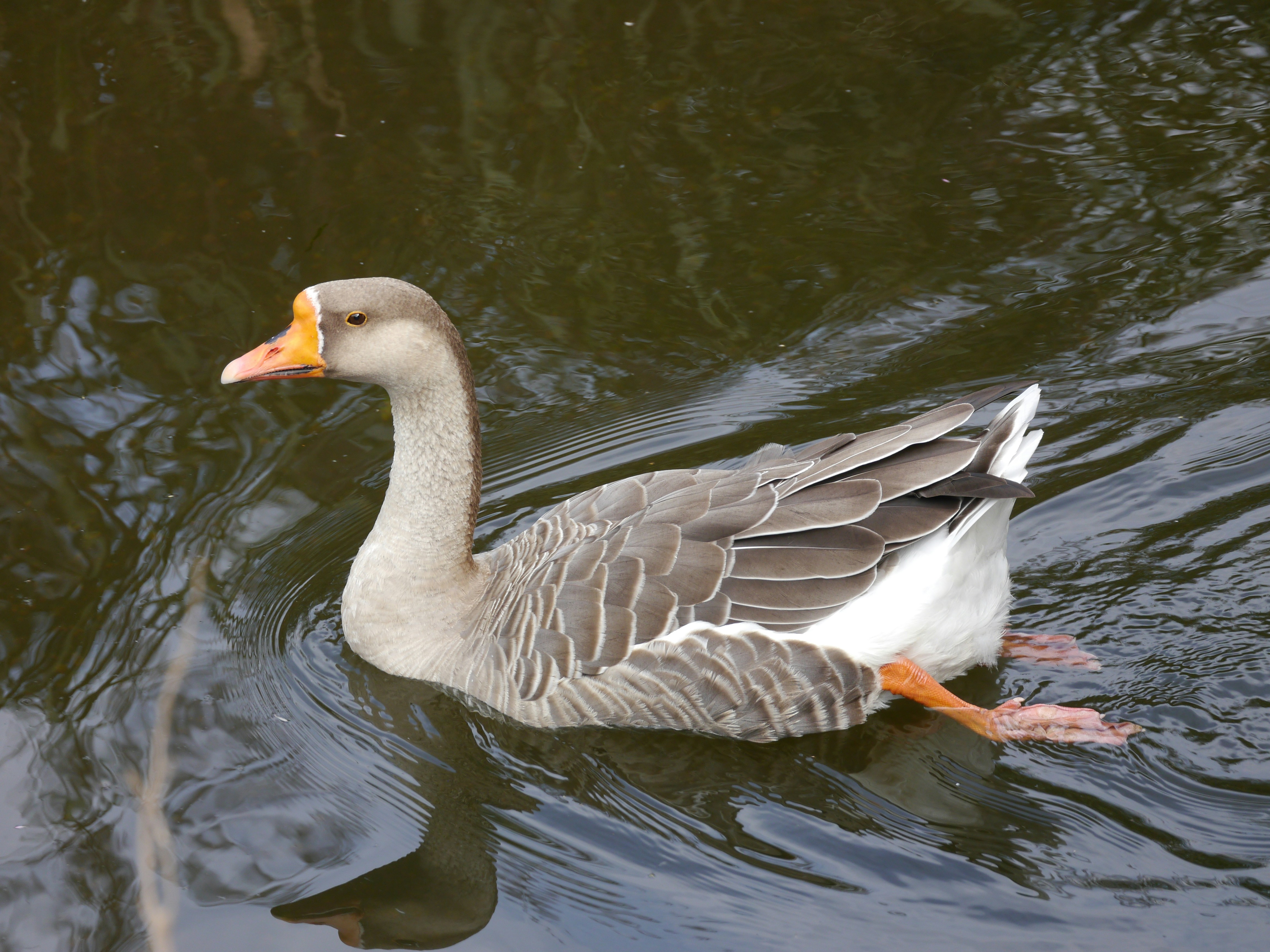 Photo by iqsphotography