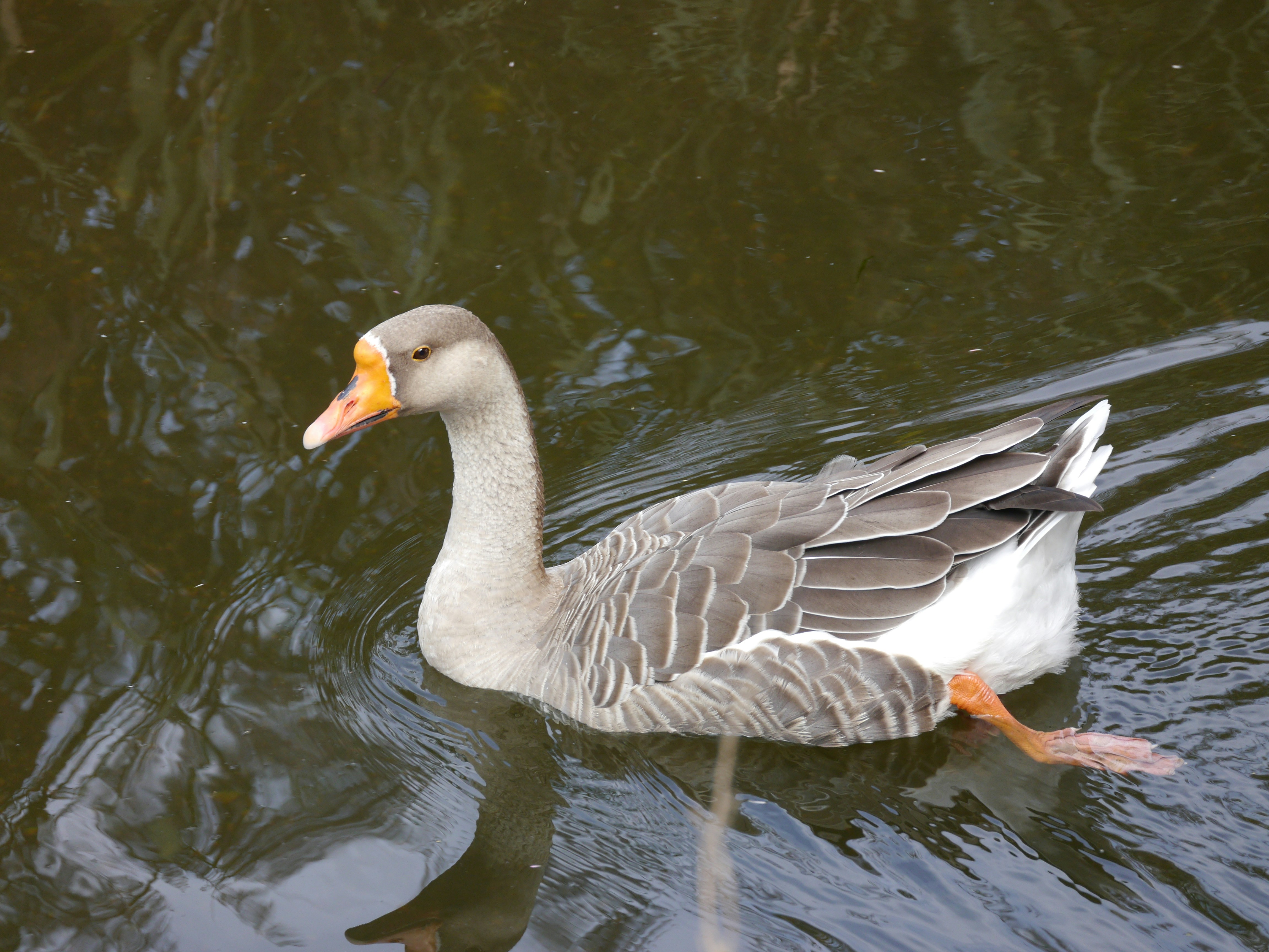 Photo by iqsphotography