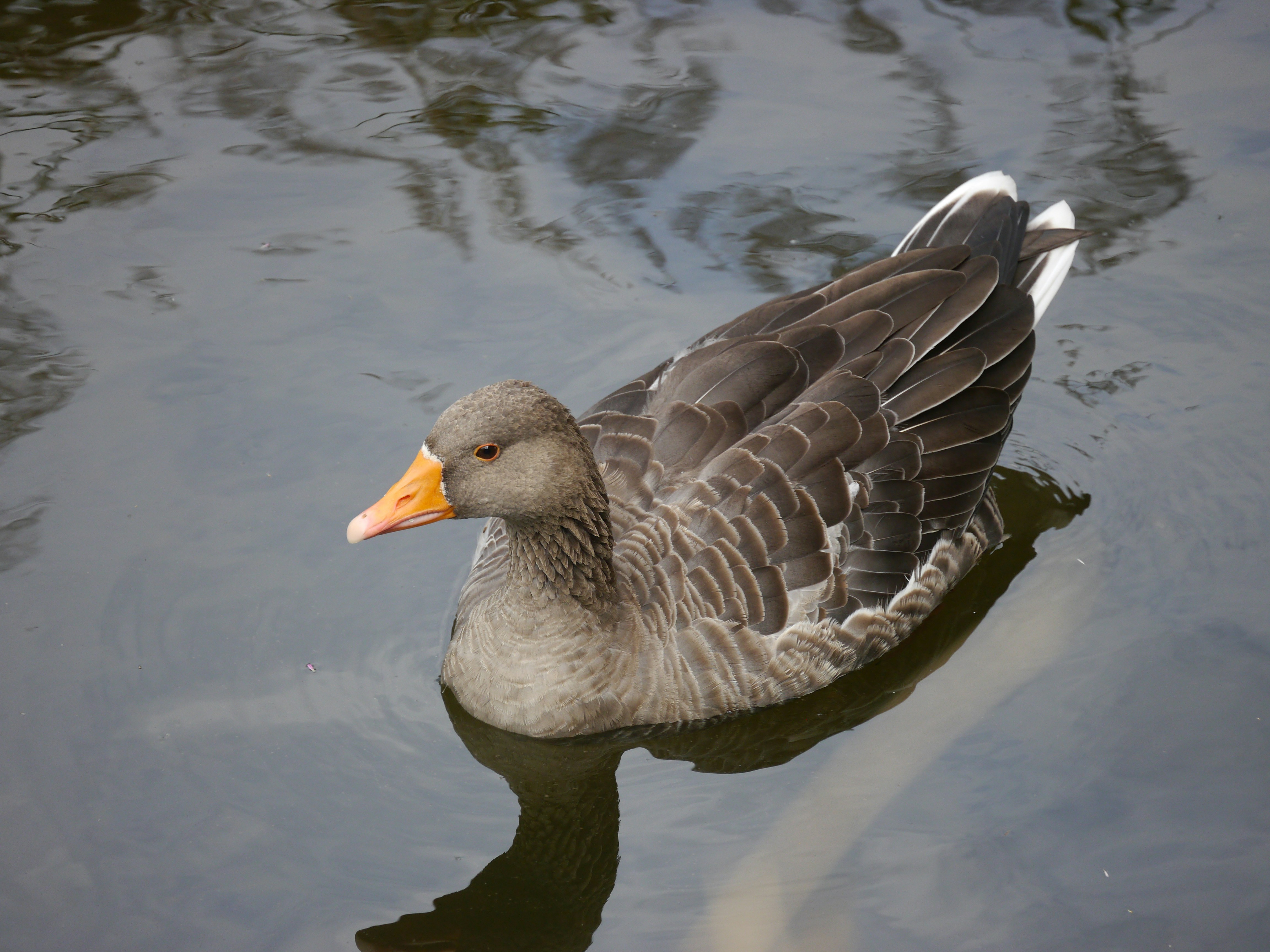 Photo by iqsphotography