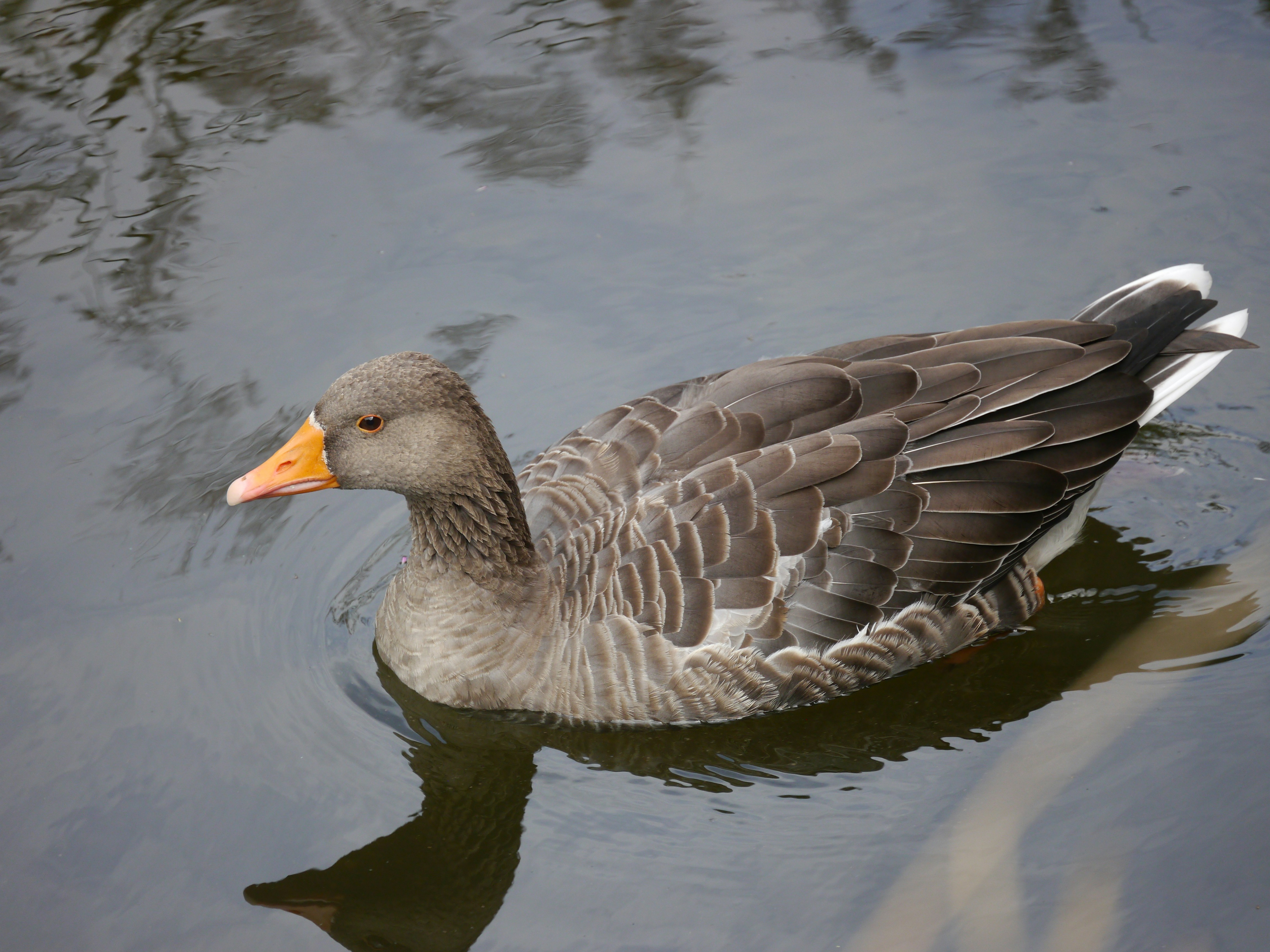 Photo by iqsphotography