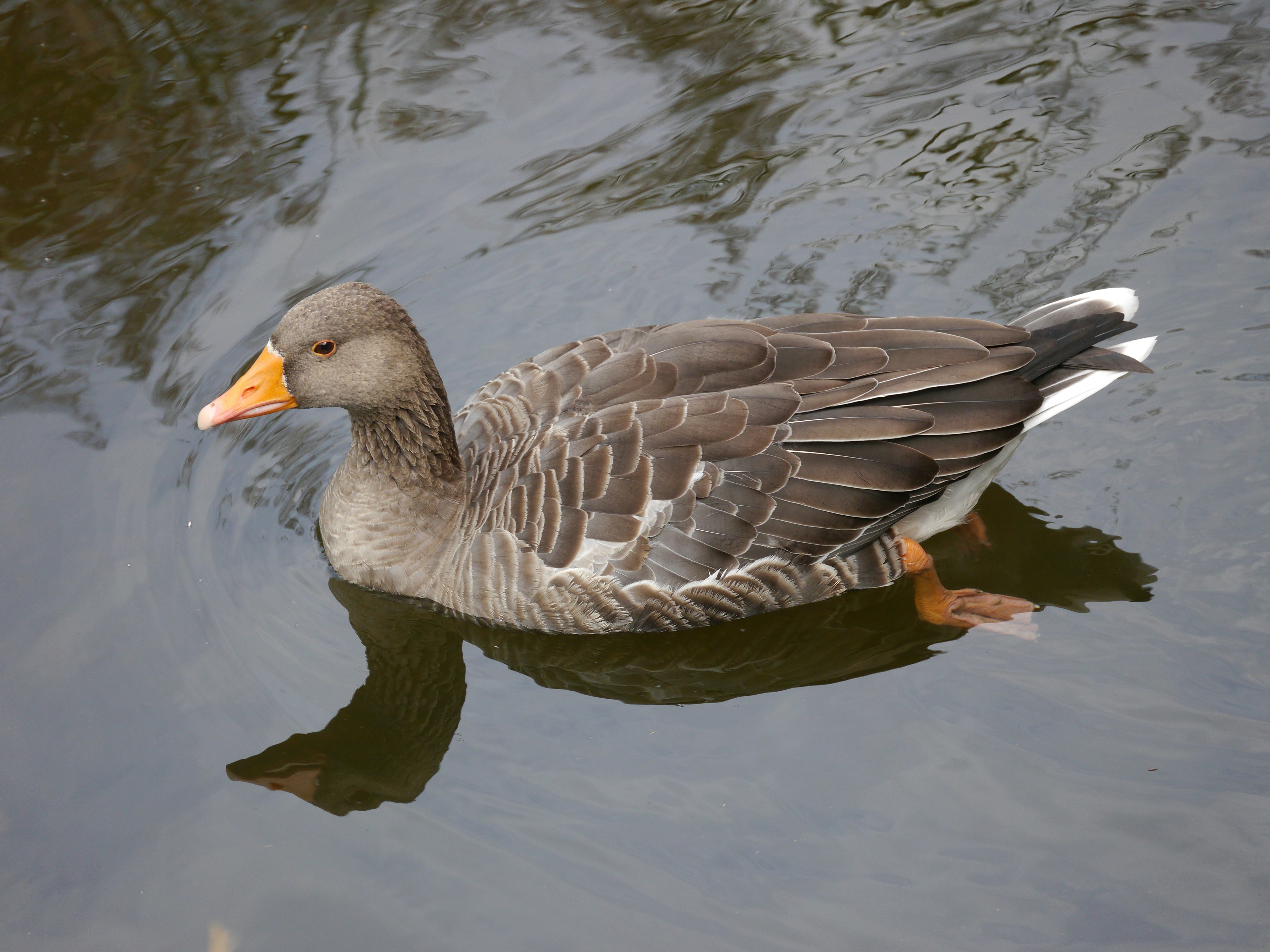 Photo by iqsphotography