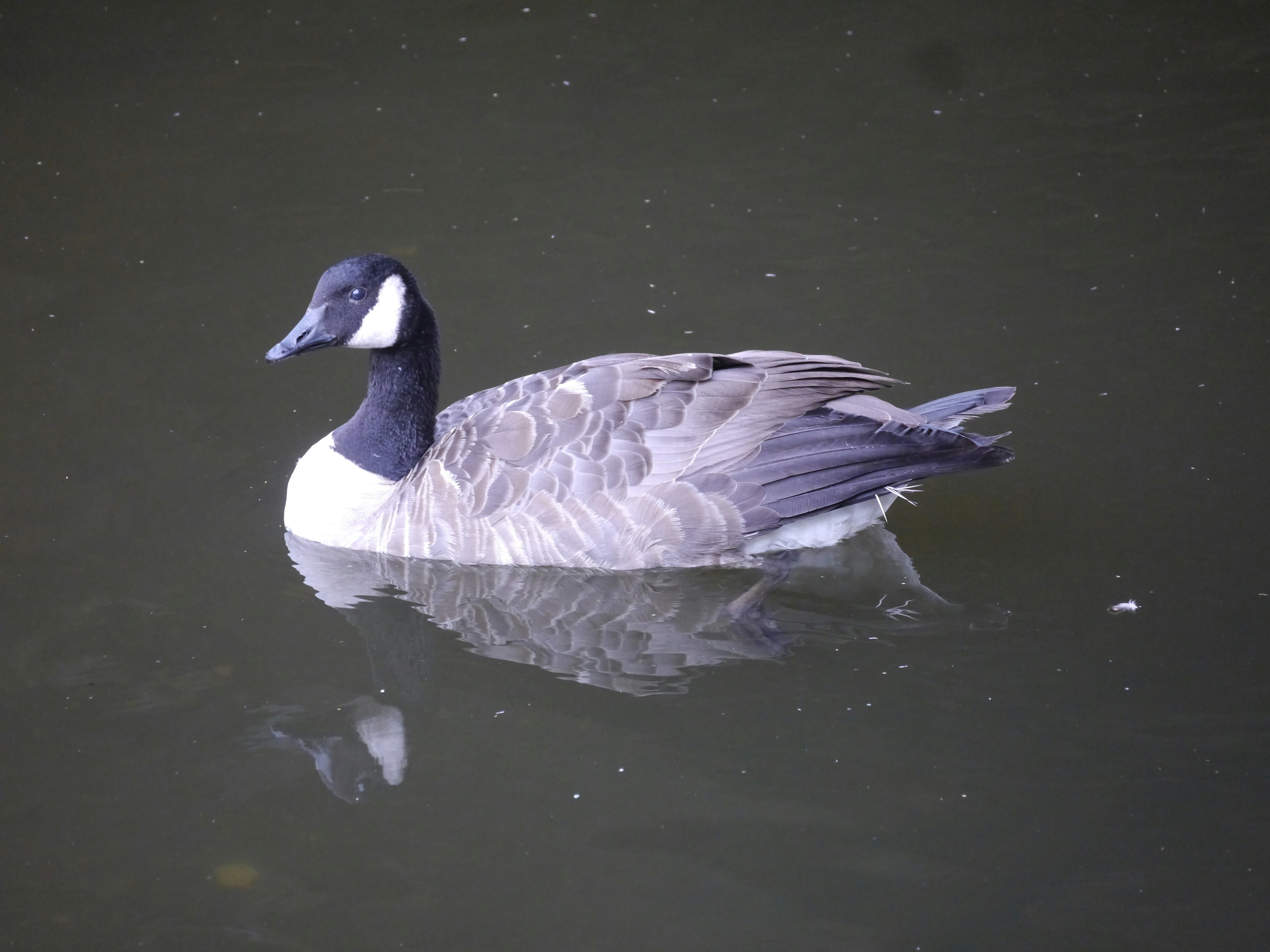 Photo by iqsphotography