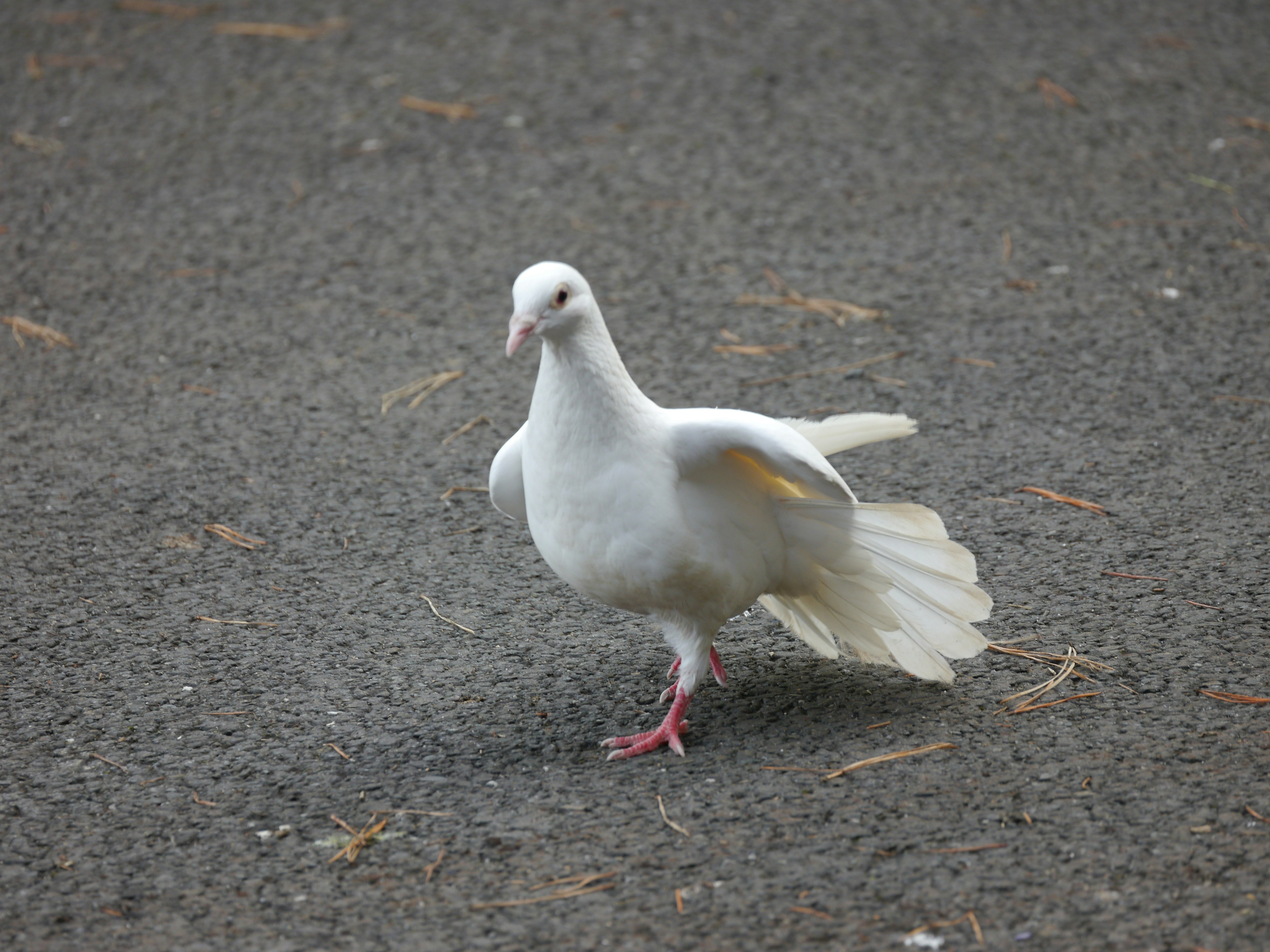 Photo by iqsphotography