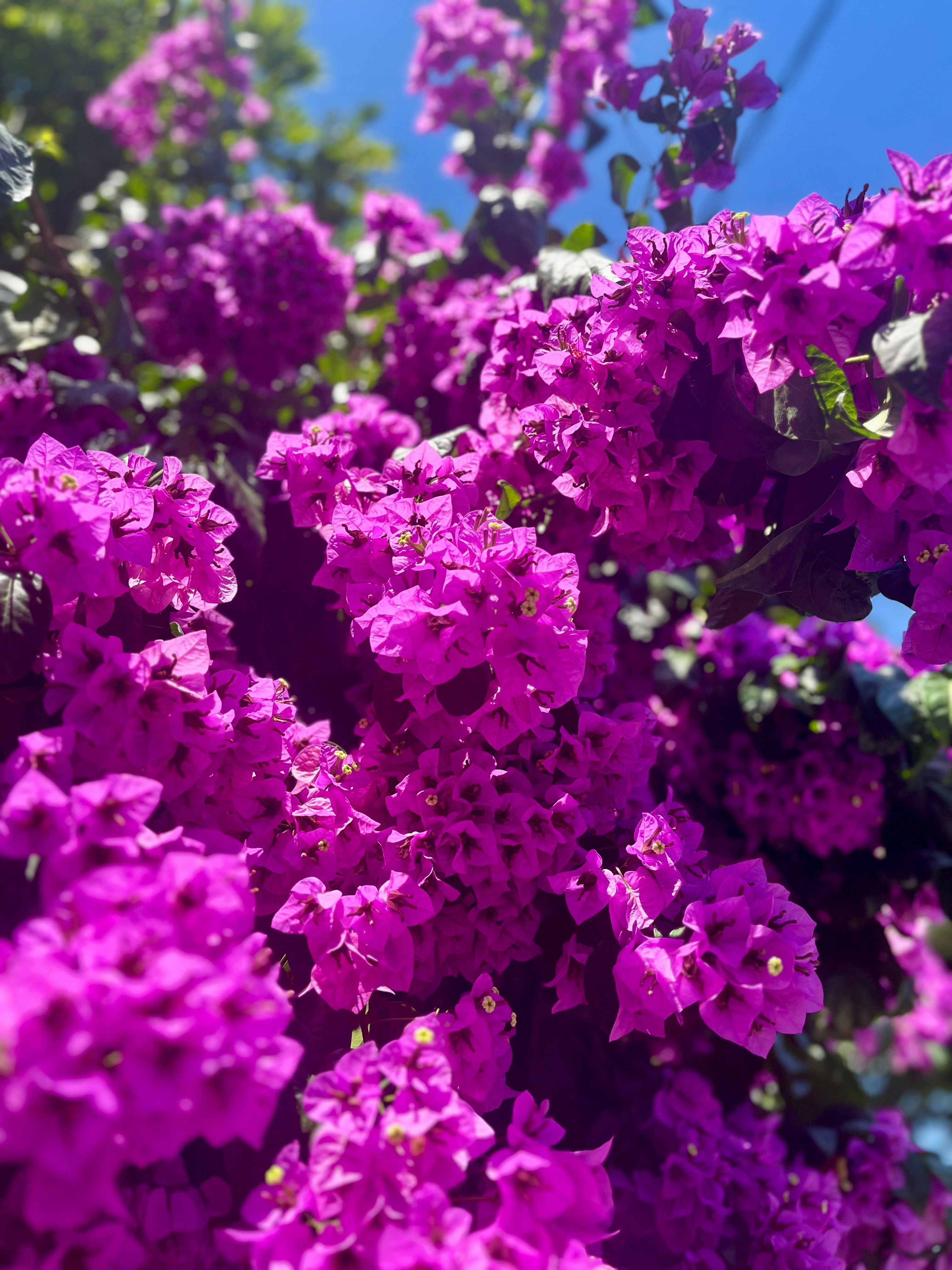 Photo by ezgideliklitas