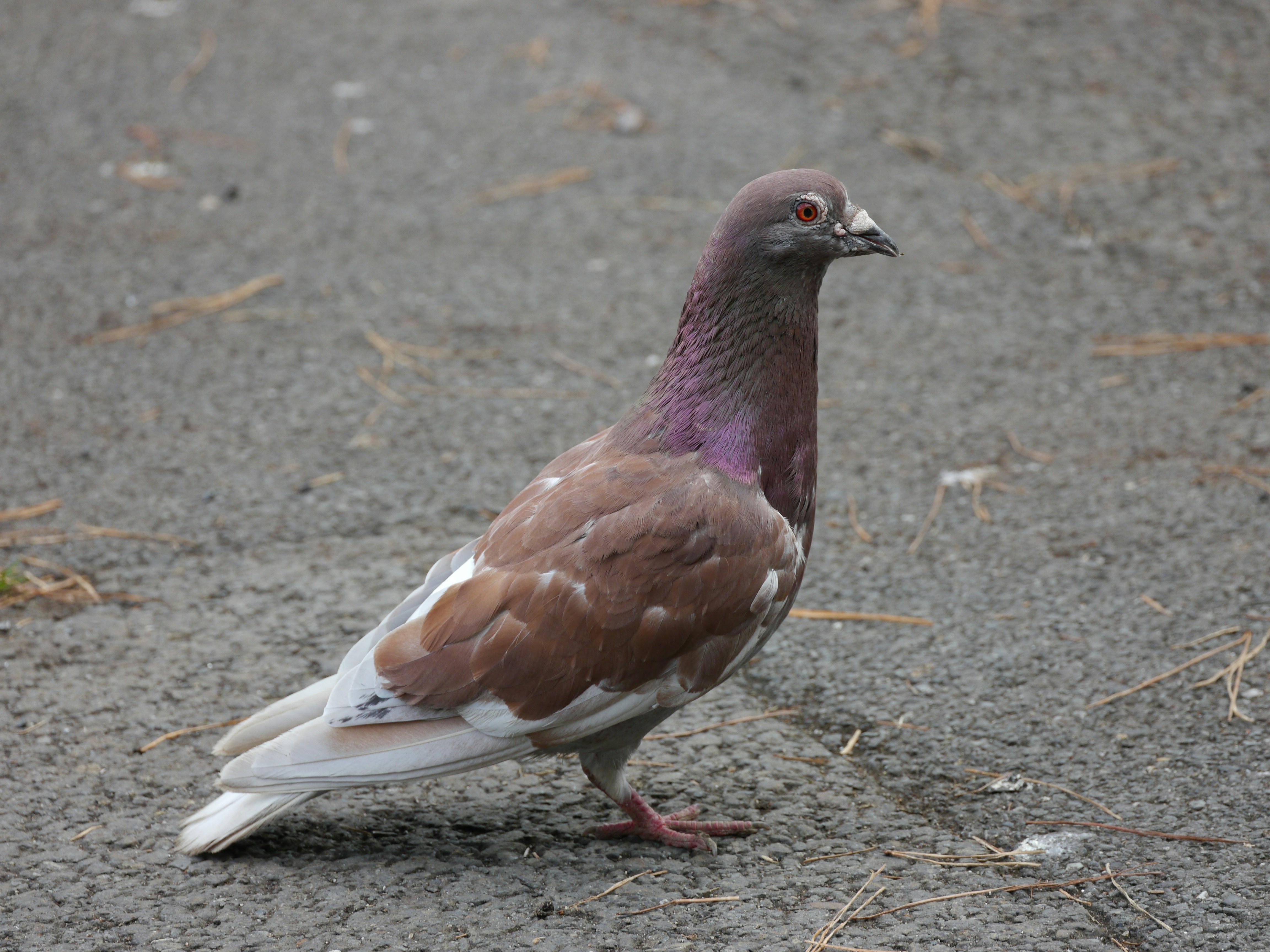 Photo by iqsphotography