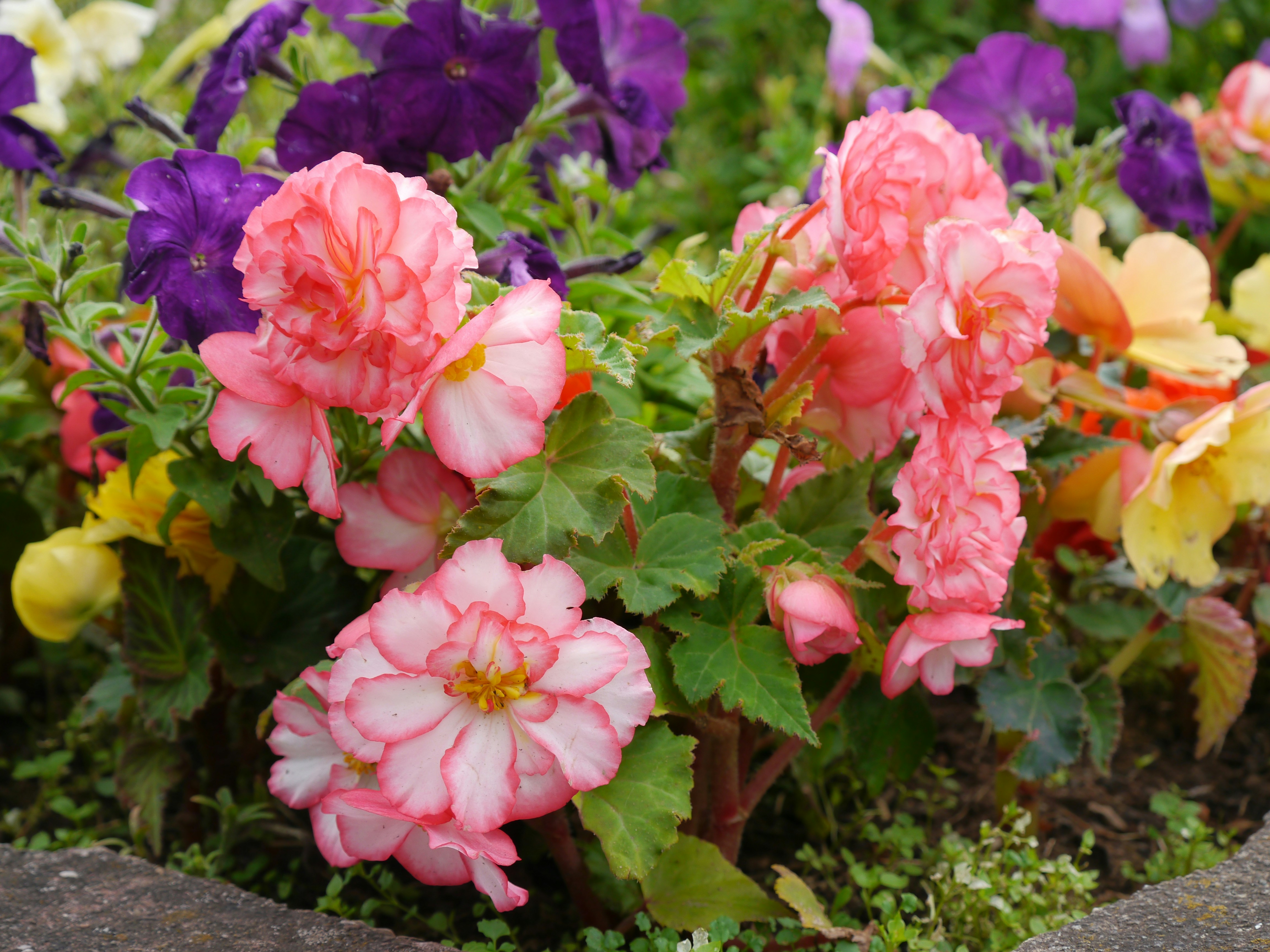 Photo by iqsphotography