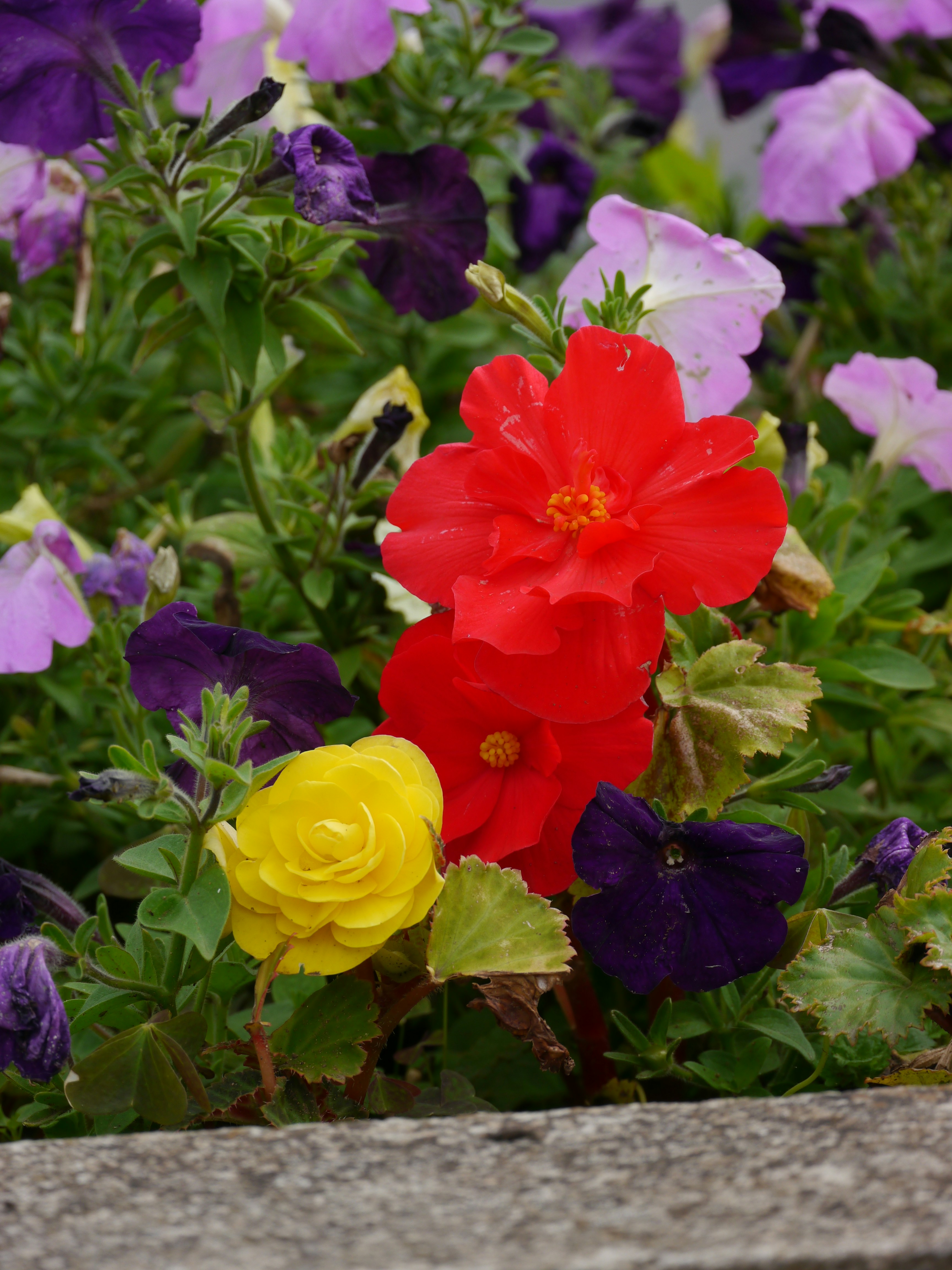 Photo by iqsphotography