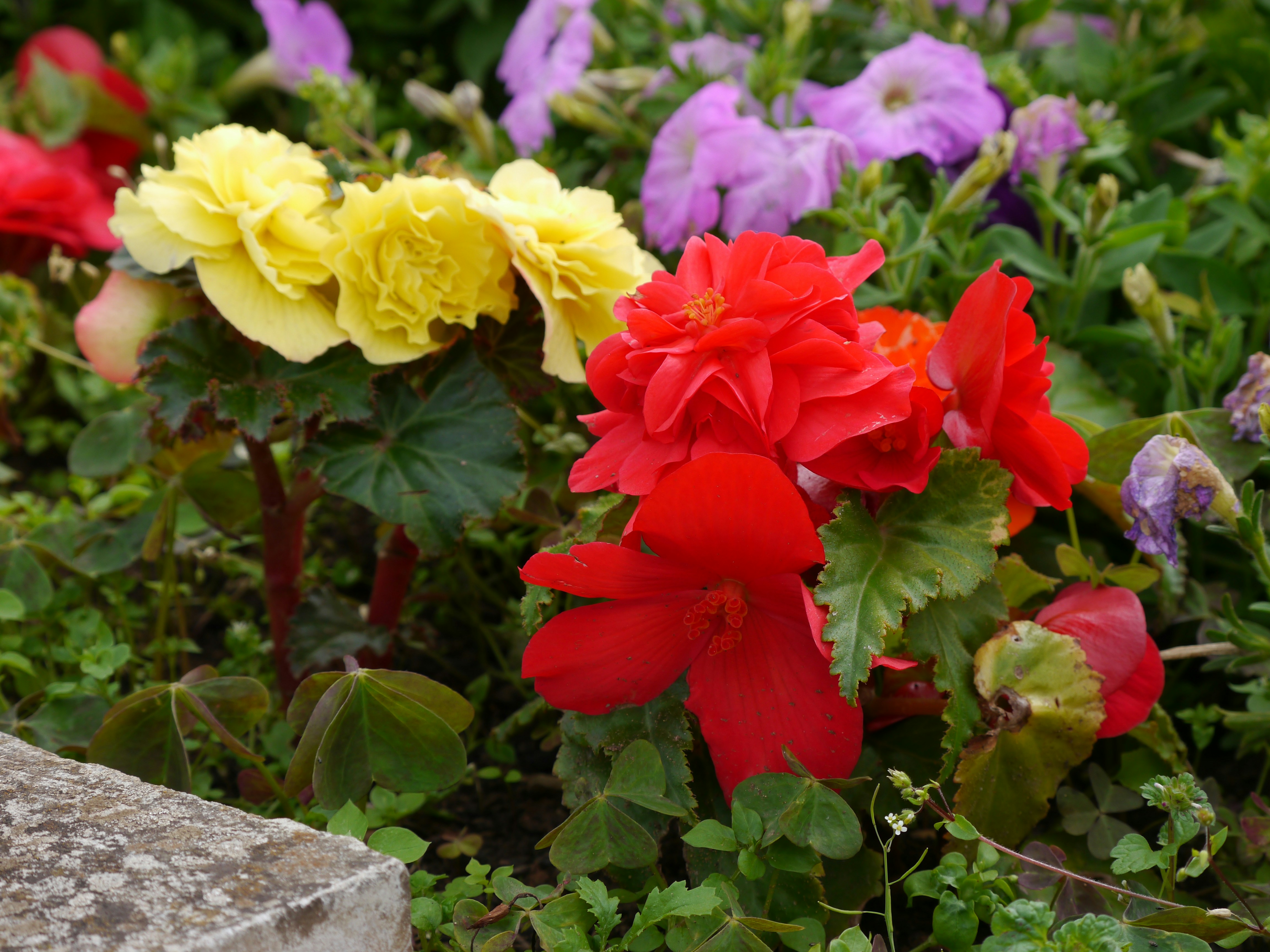 Photo by iqsphotography