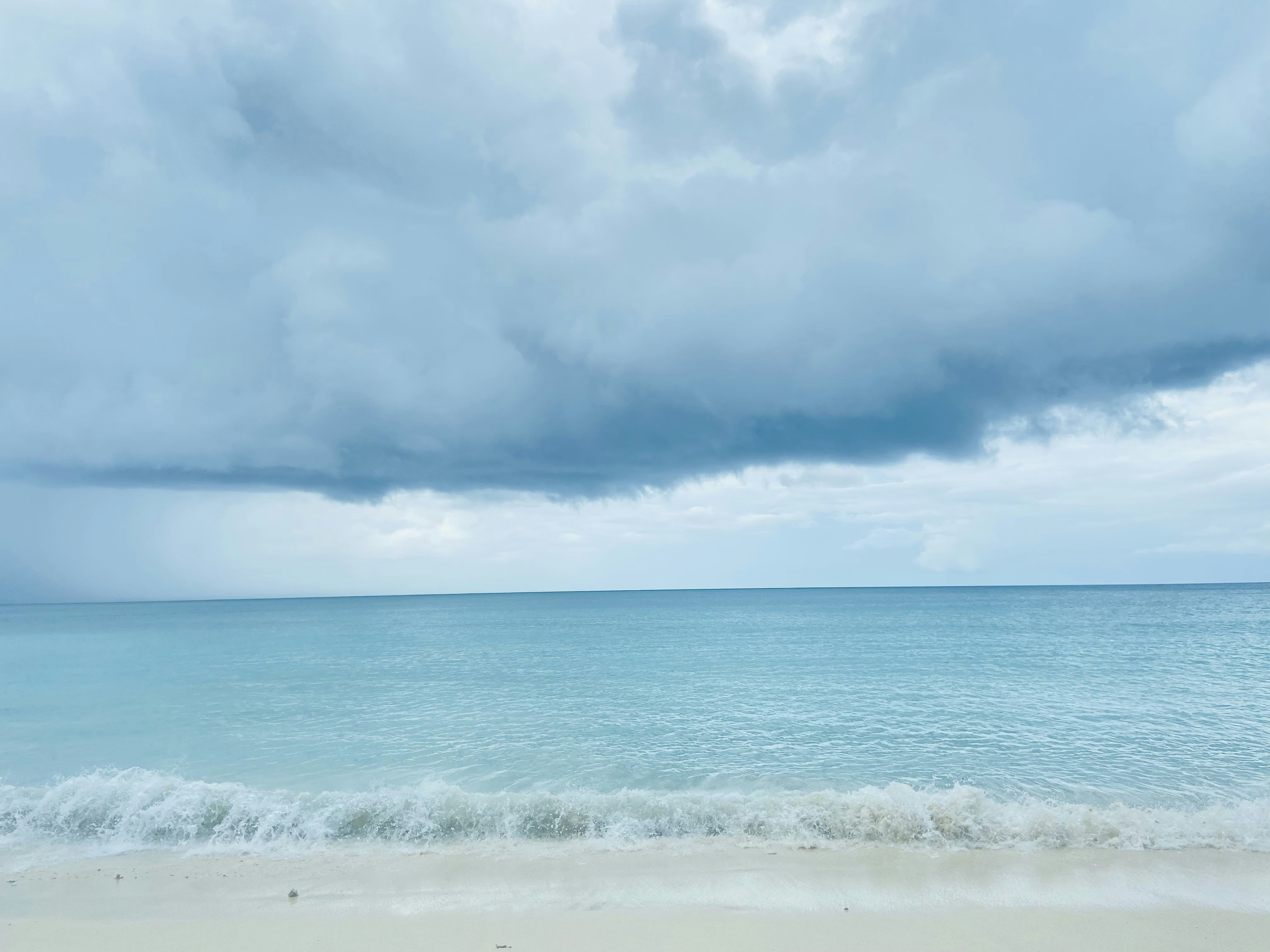 Latest Market Trends