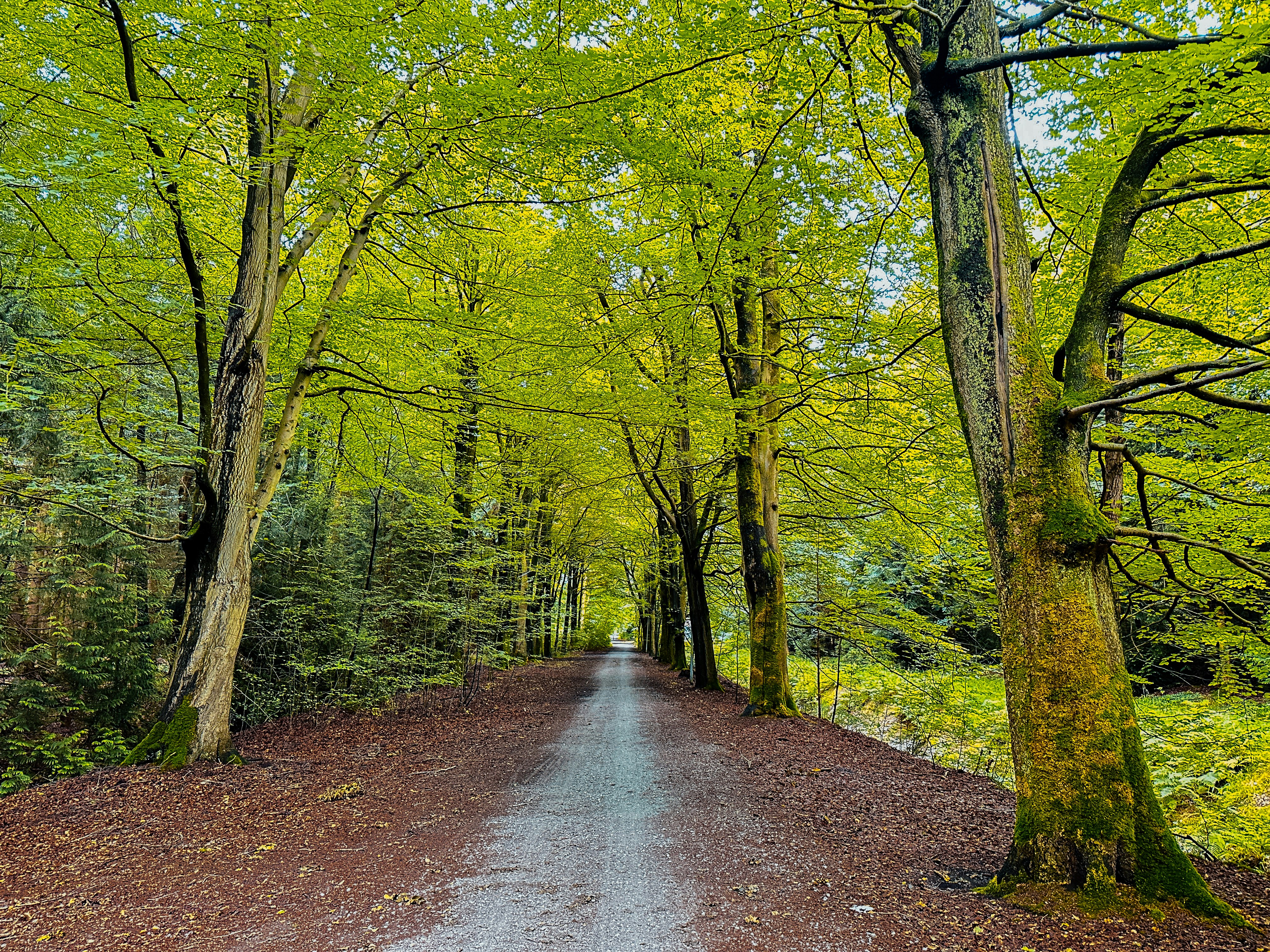 Photo by sredina_jeseni