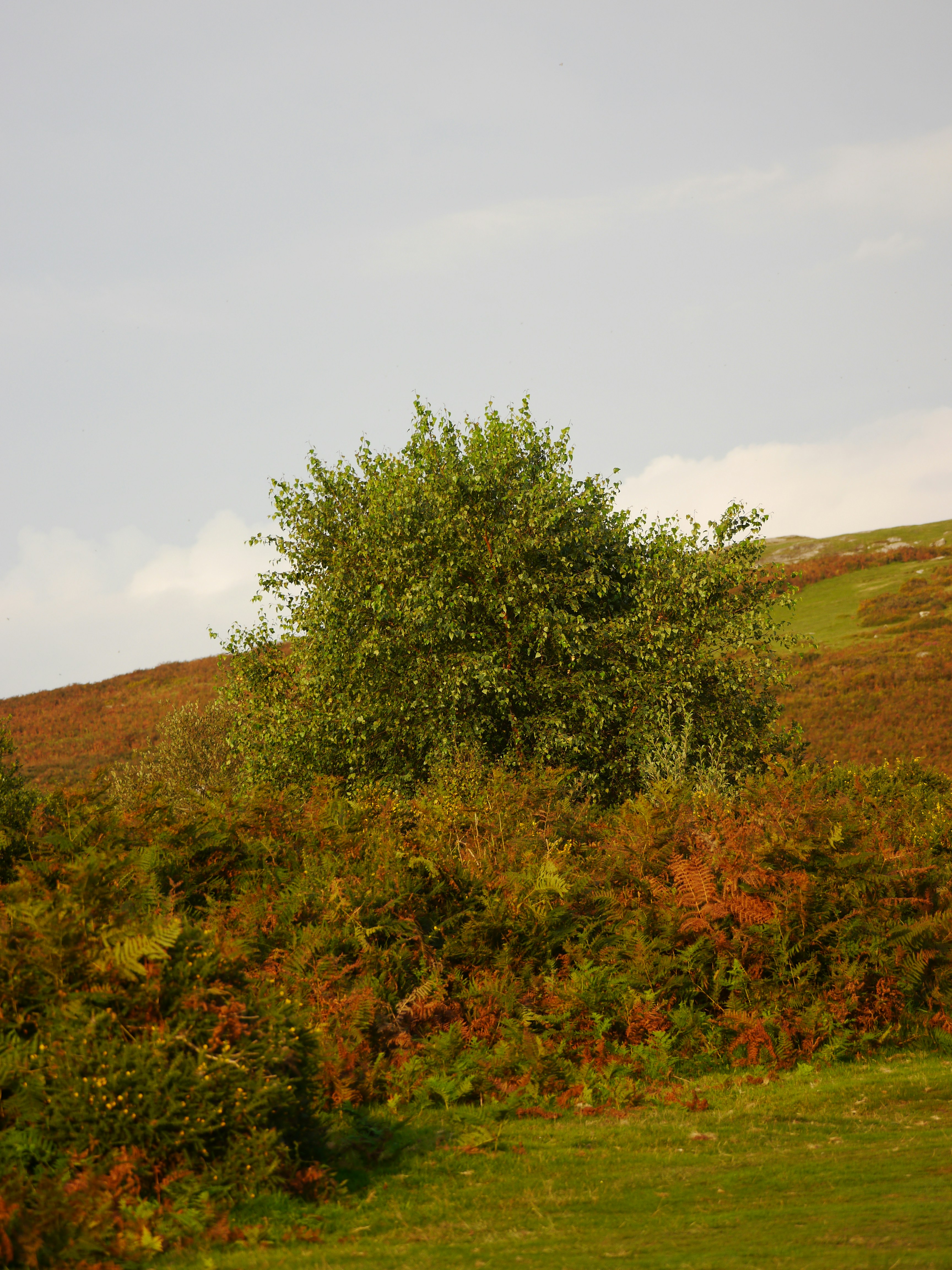 Photo by iqsphotography