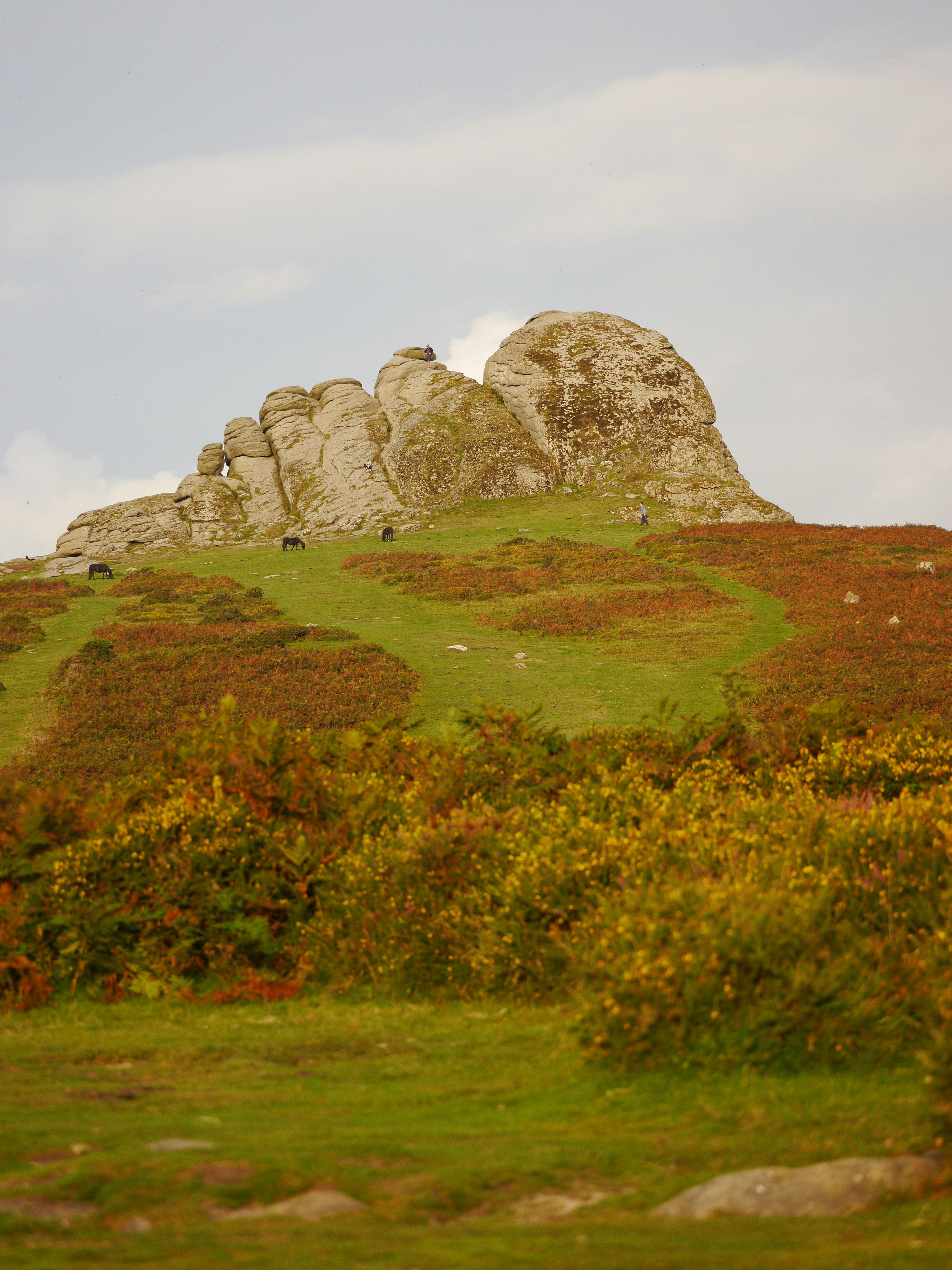 Photo by iqsphotography