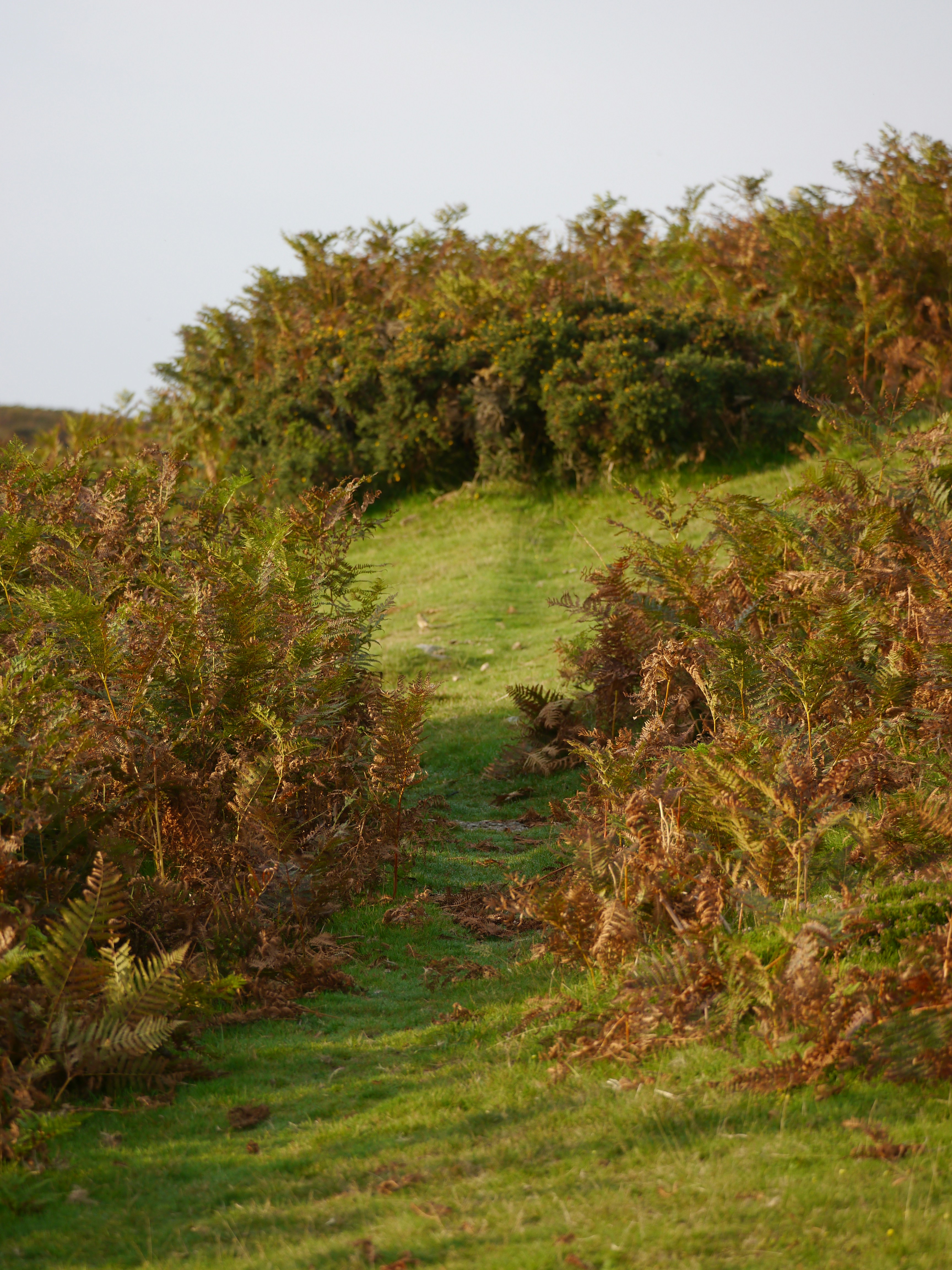 Photo by iqsphotography