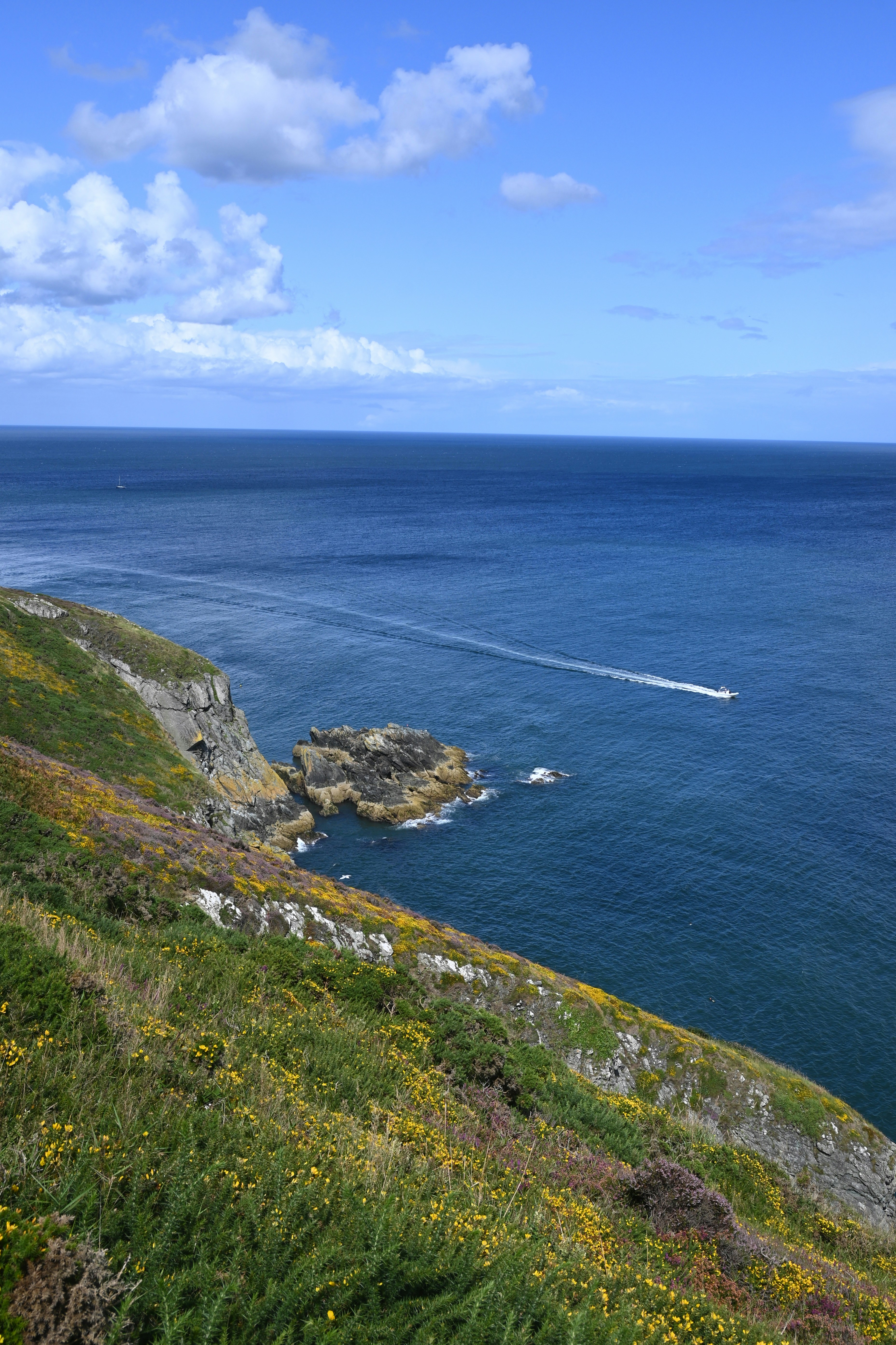 Photo by abhidevvaishnav