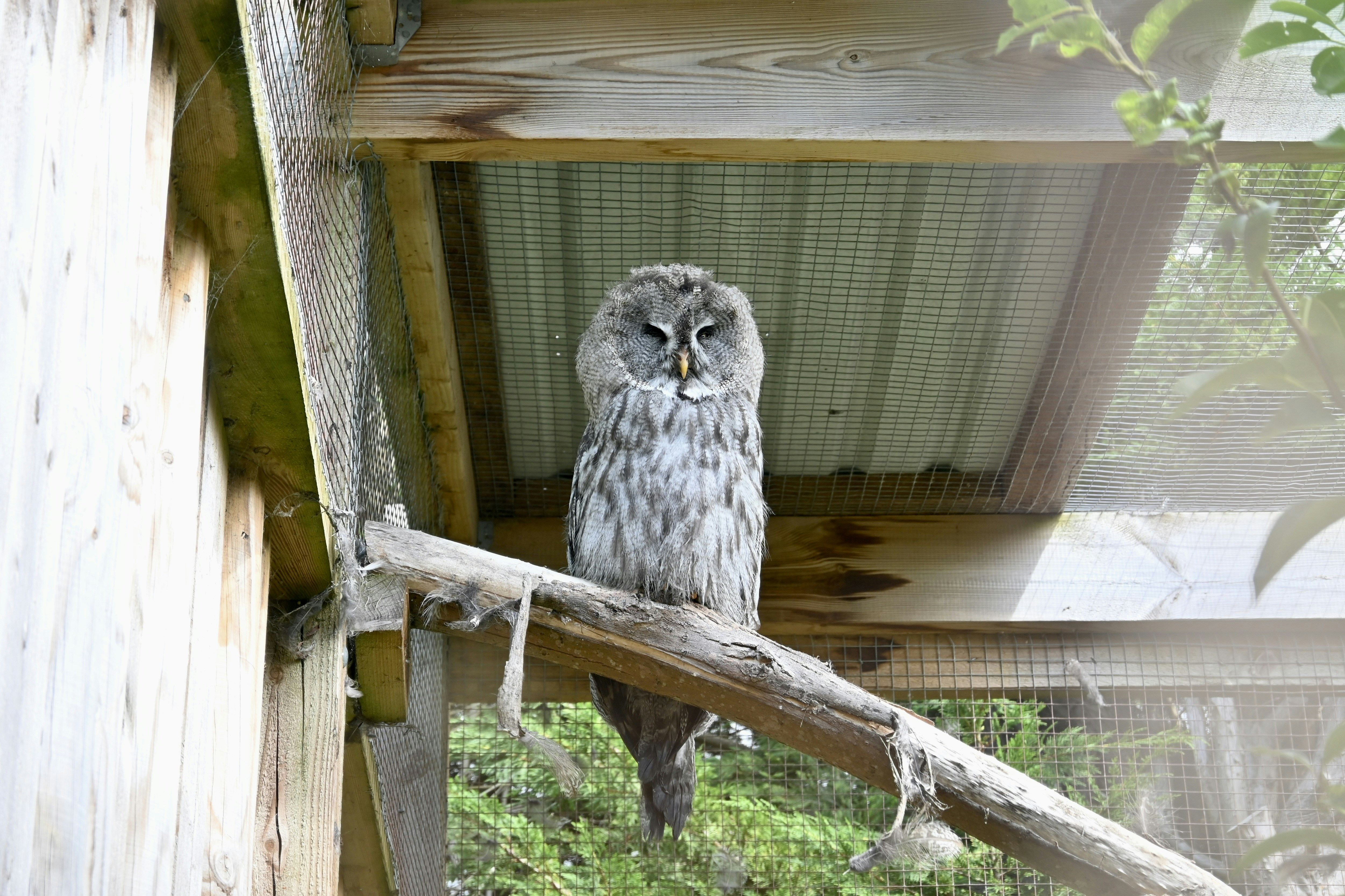 Rehabilitation Techniques That Defy Convention (image credits: unsplash)