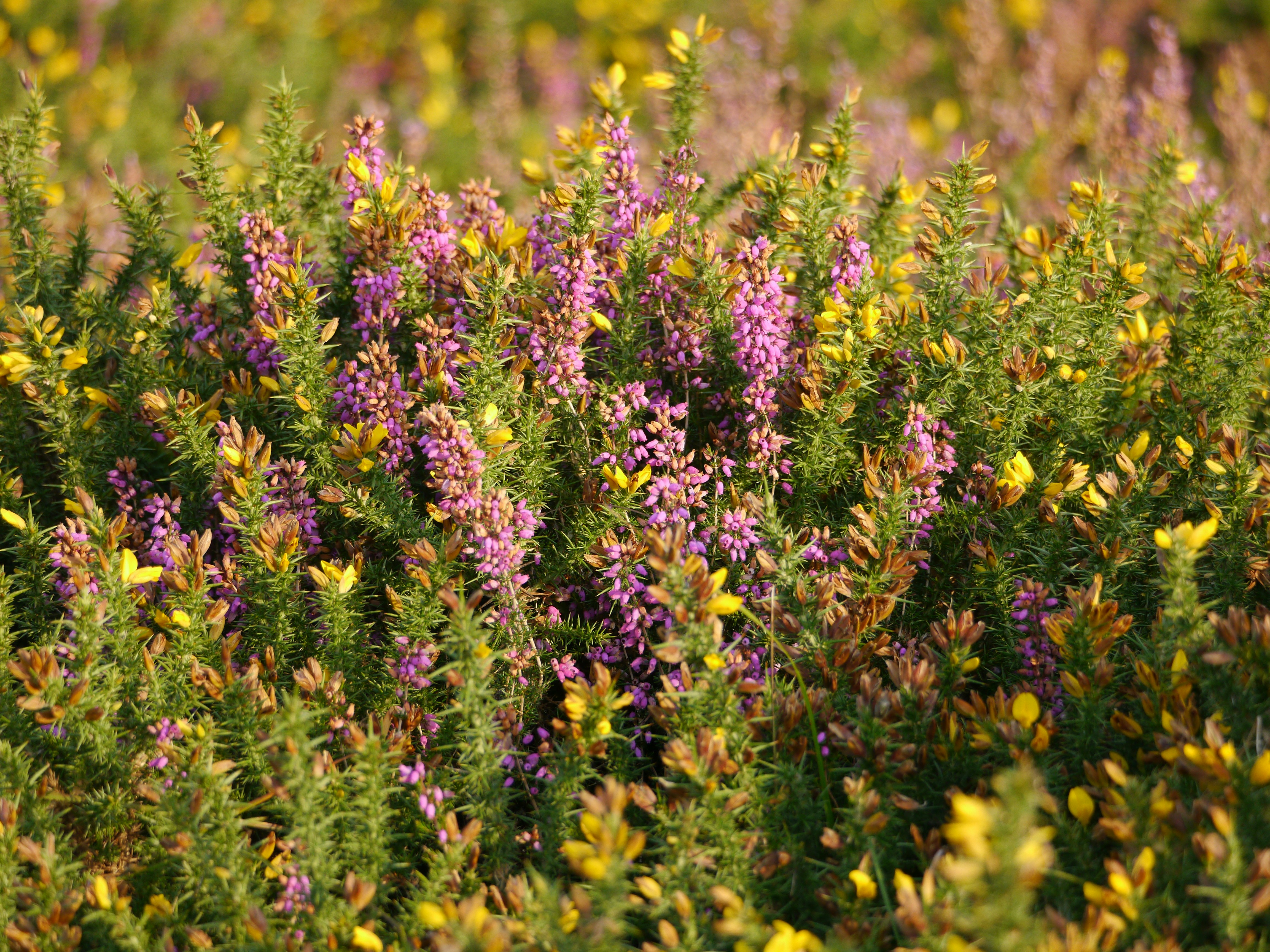 Photo by iqsphotography