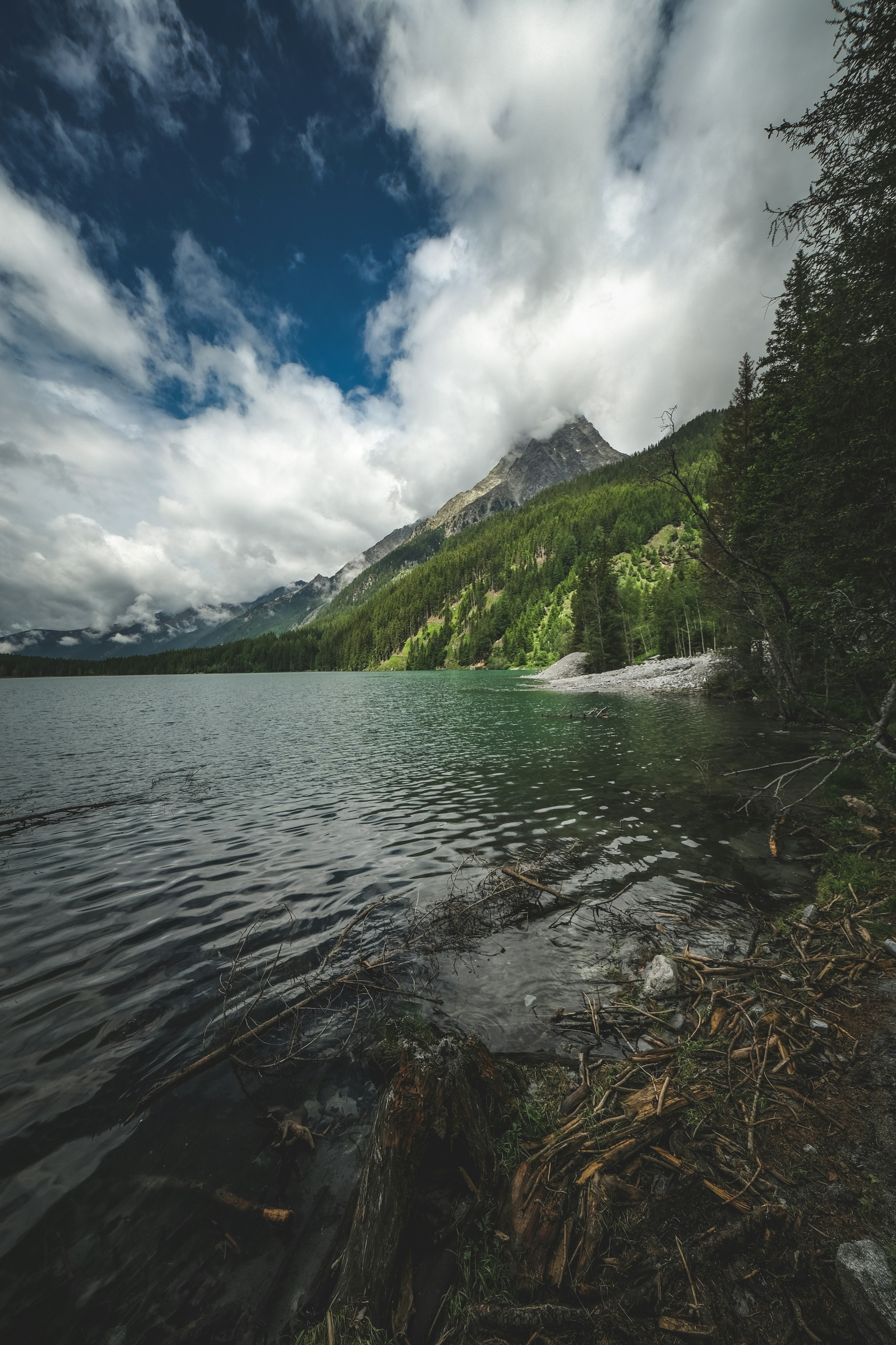 Photo by francesco_ungaro