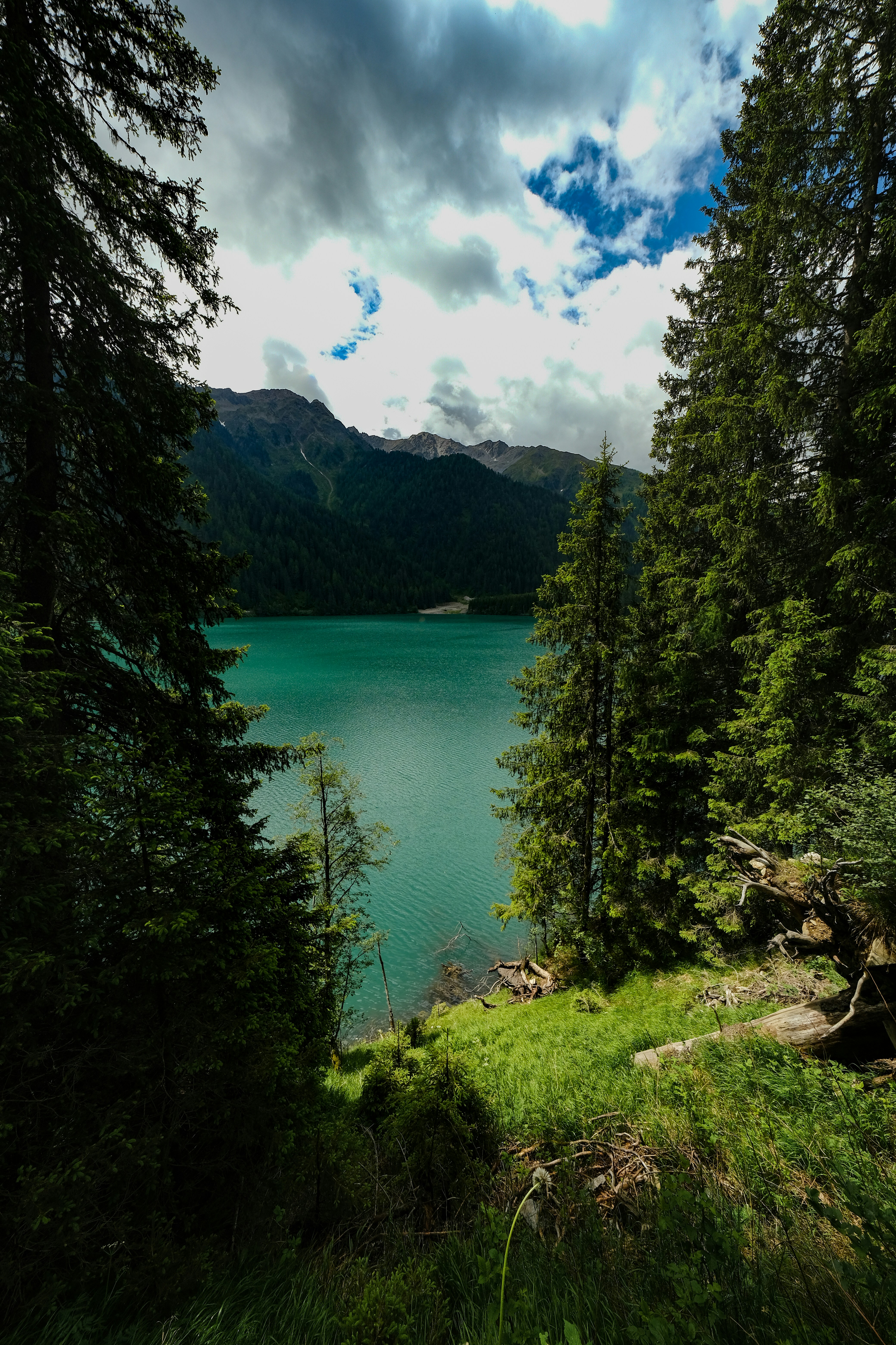 Photo by francesco_ungaro