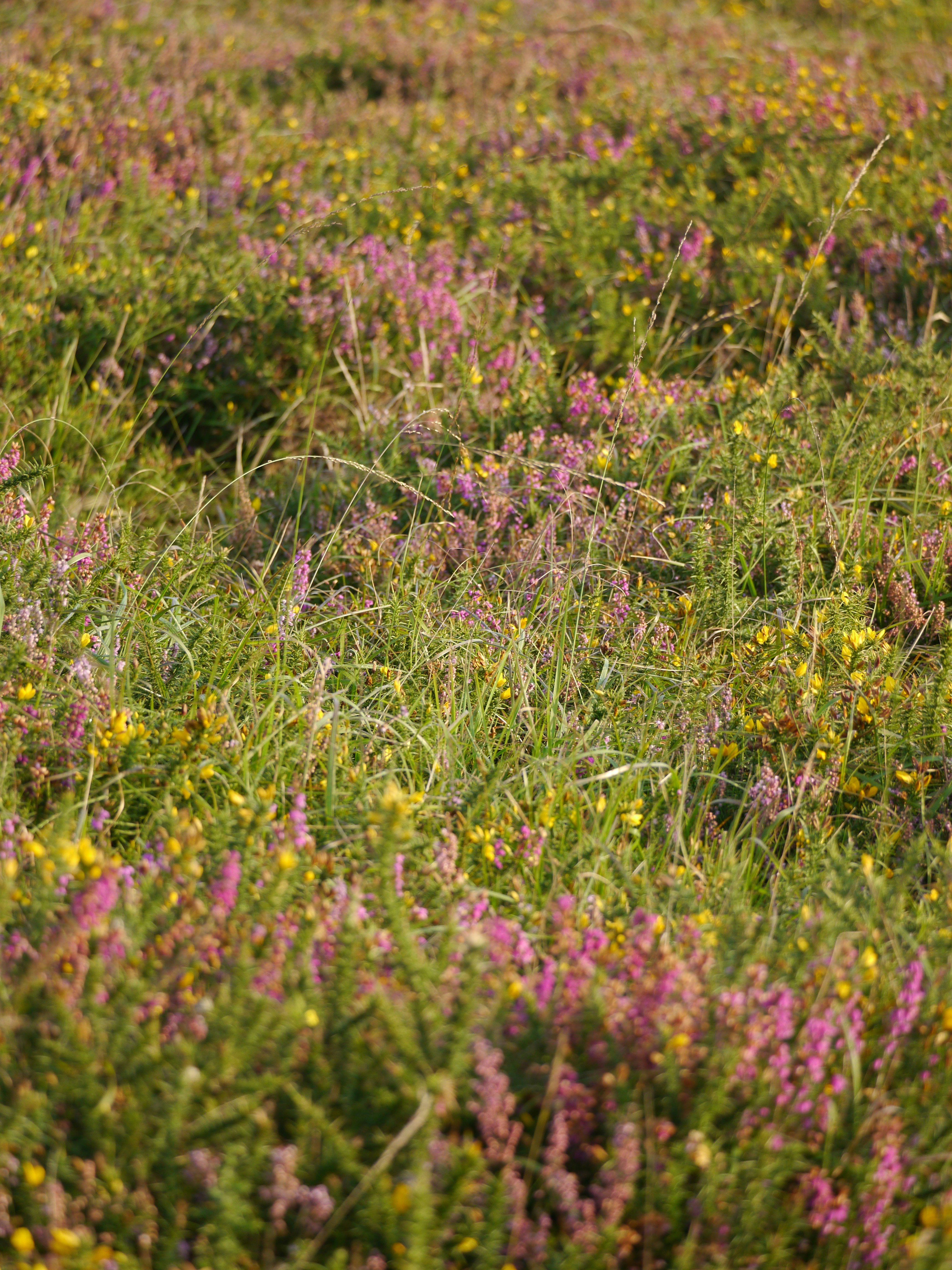 Photo by iqsphotography