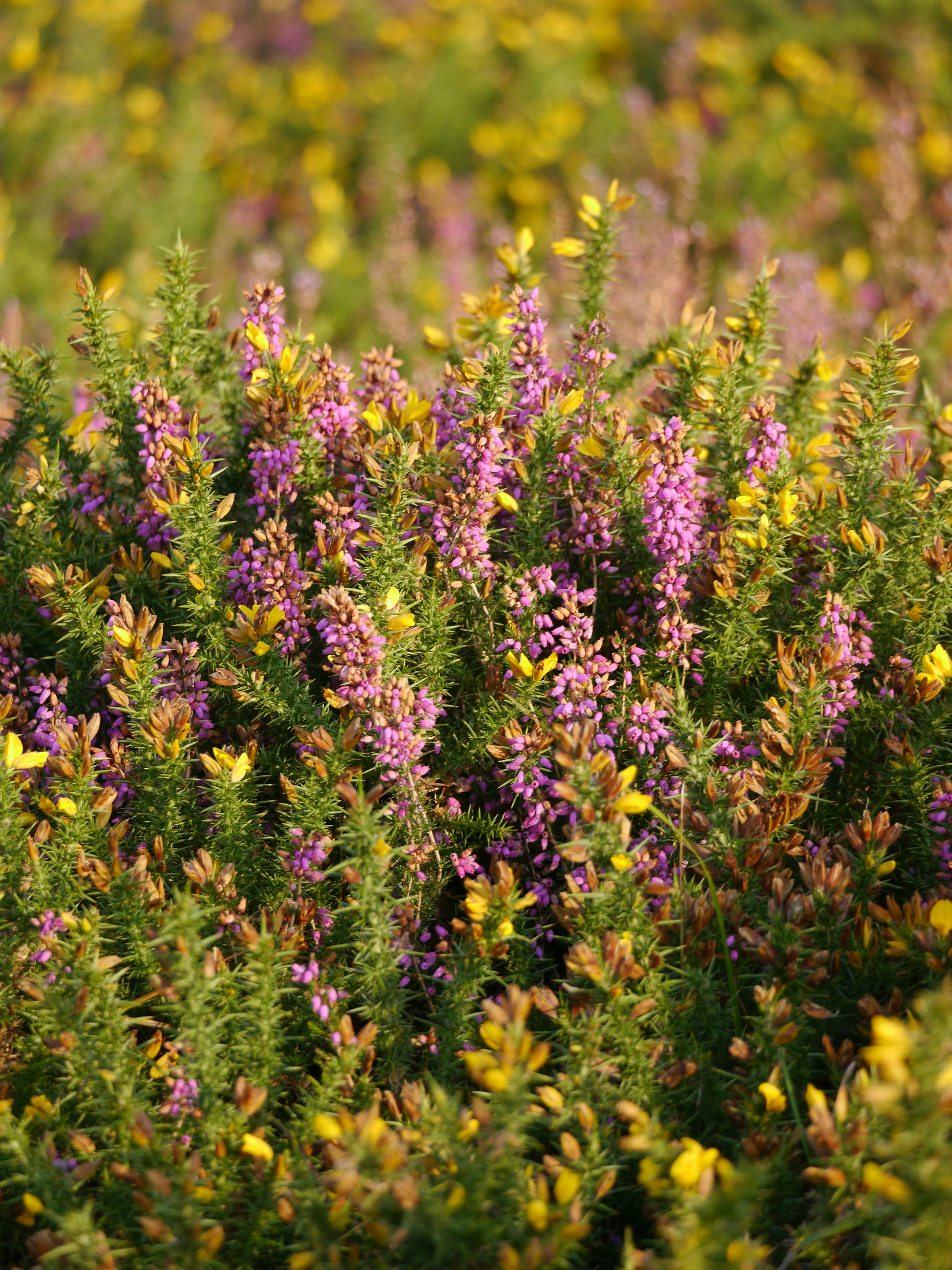 Photo by iqsphotography