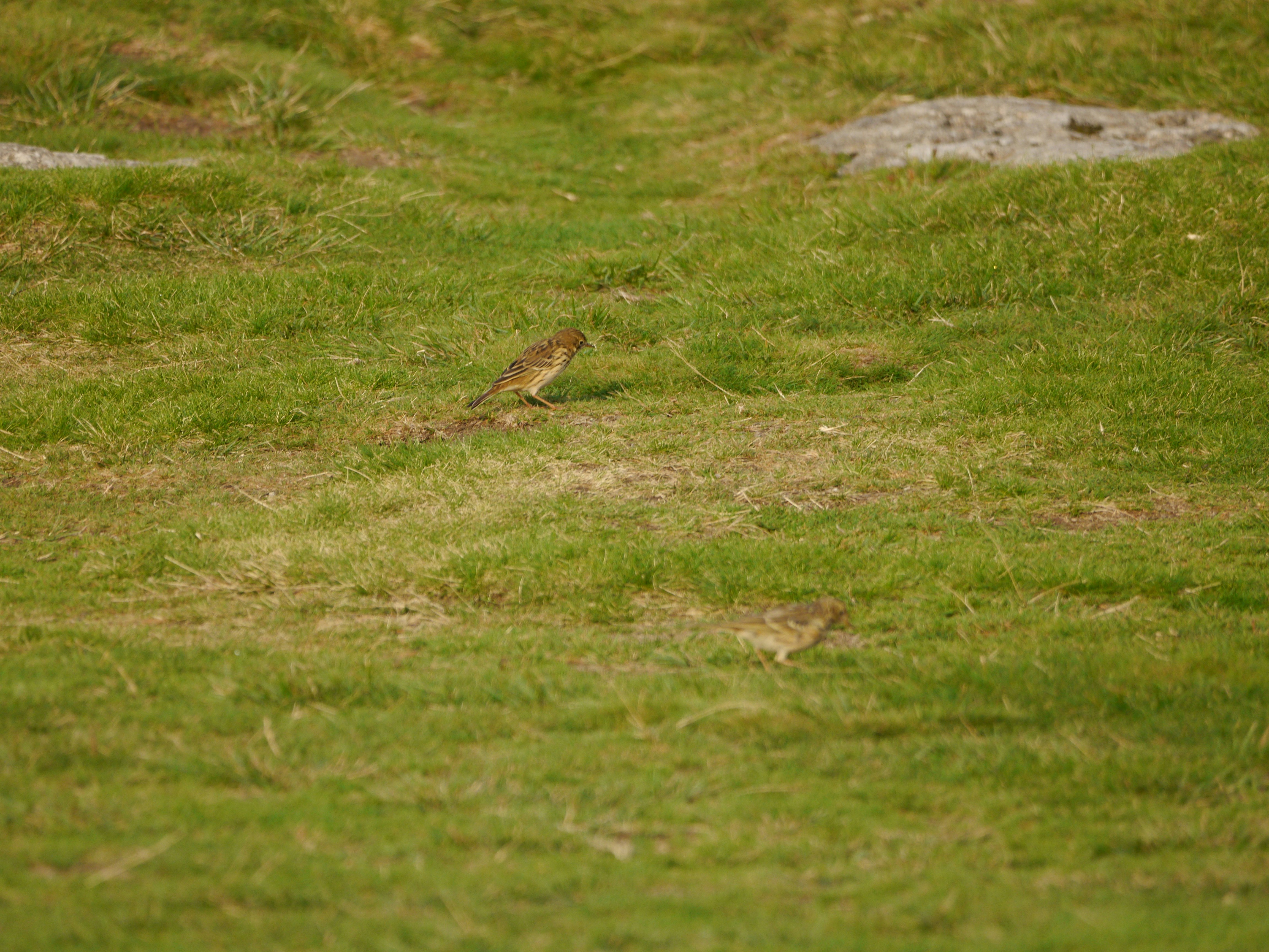 Photo by iqsphotography