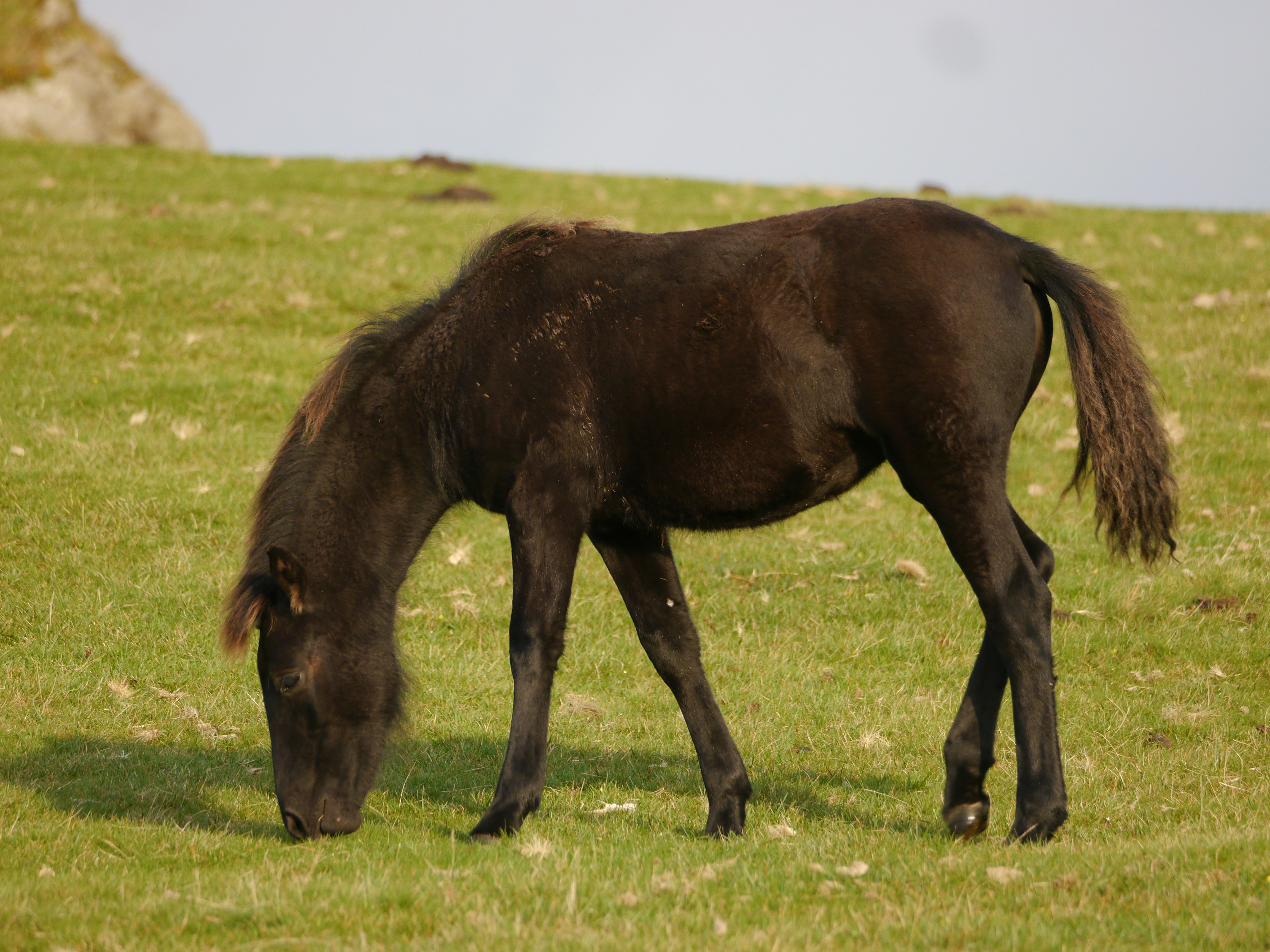 Photo by iqsphotography