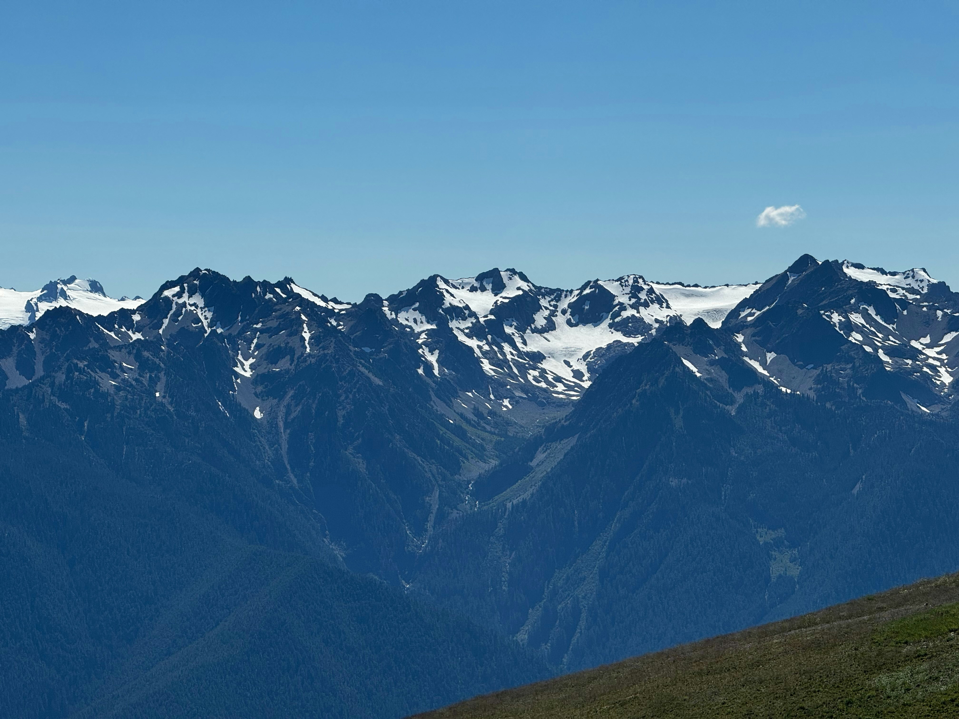 Photo by zimgoobr876