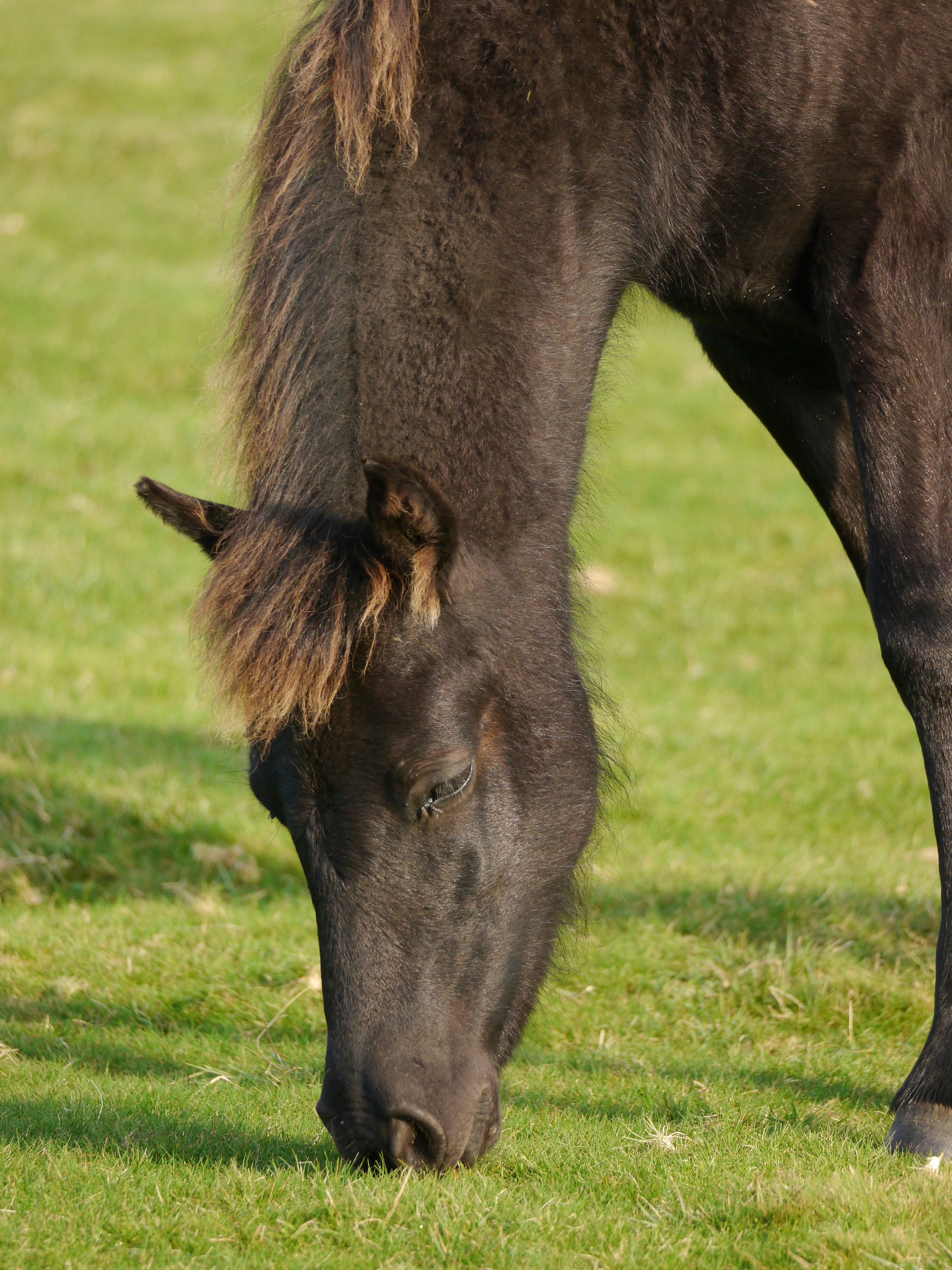 Photo by iqsphotography