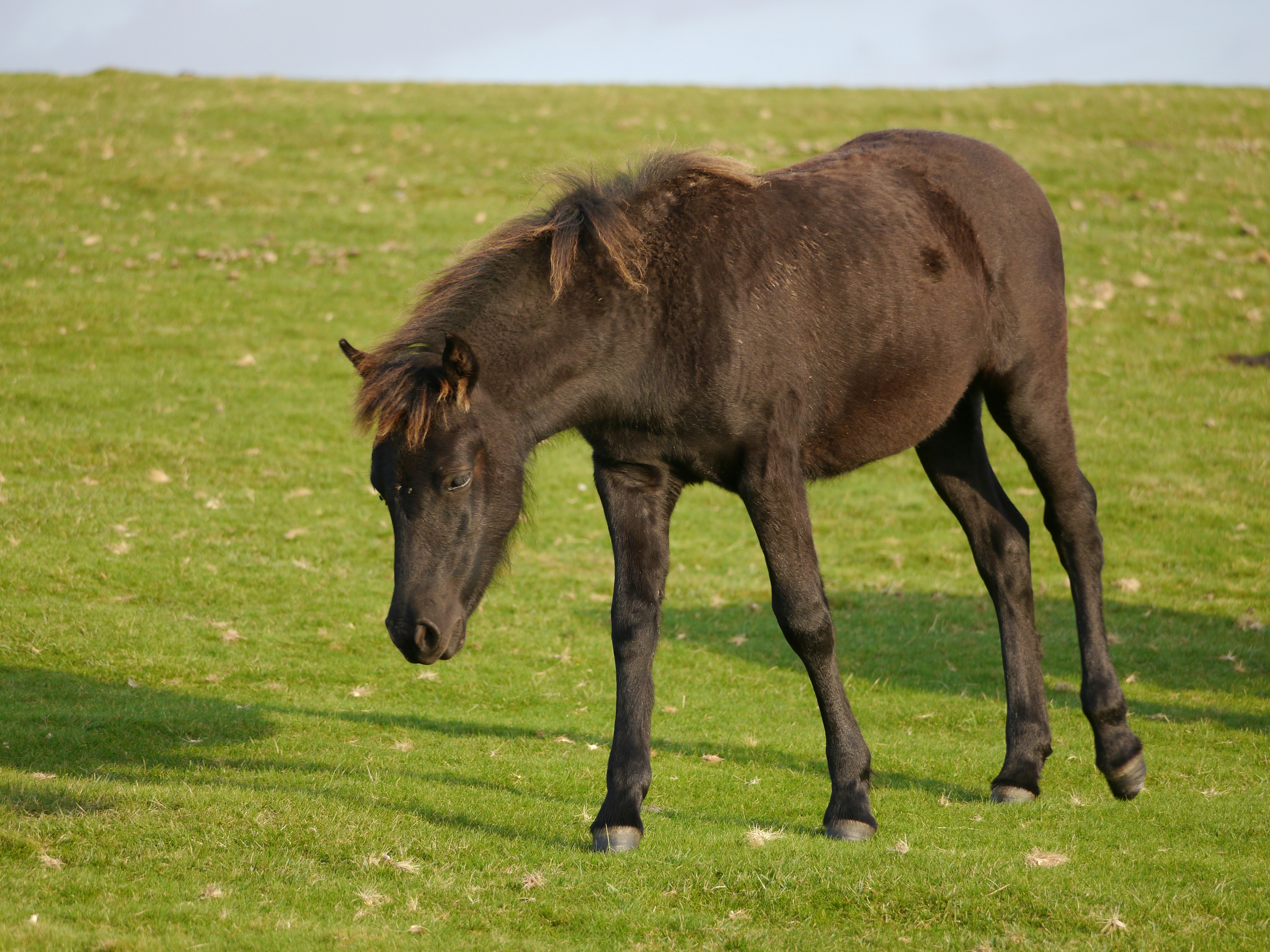 Photo by iqsphotography